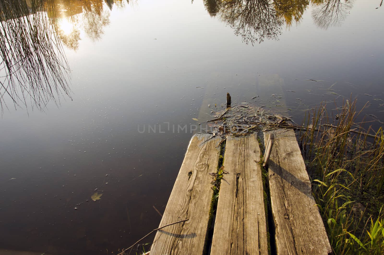 Broken and hollow in water abandoned wooden bridge.