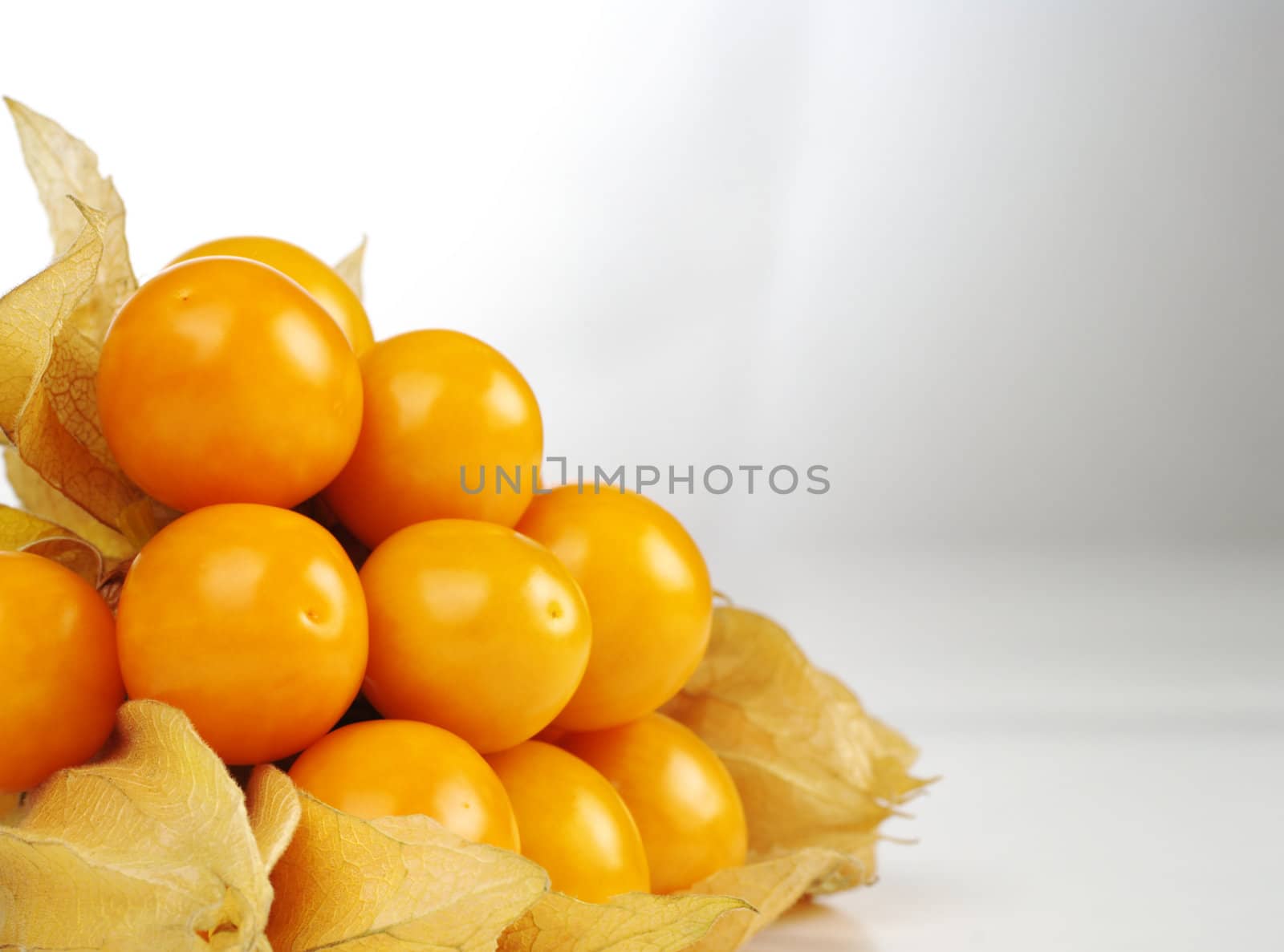 A bunch of vitamin-packed orange physalis on white (Selective Focus) 