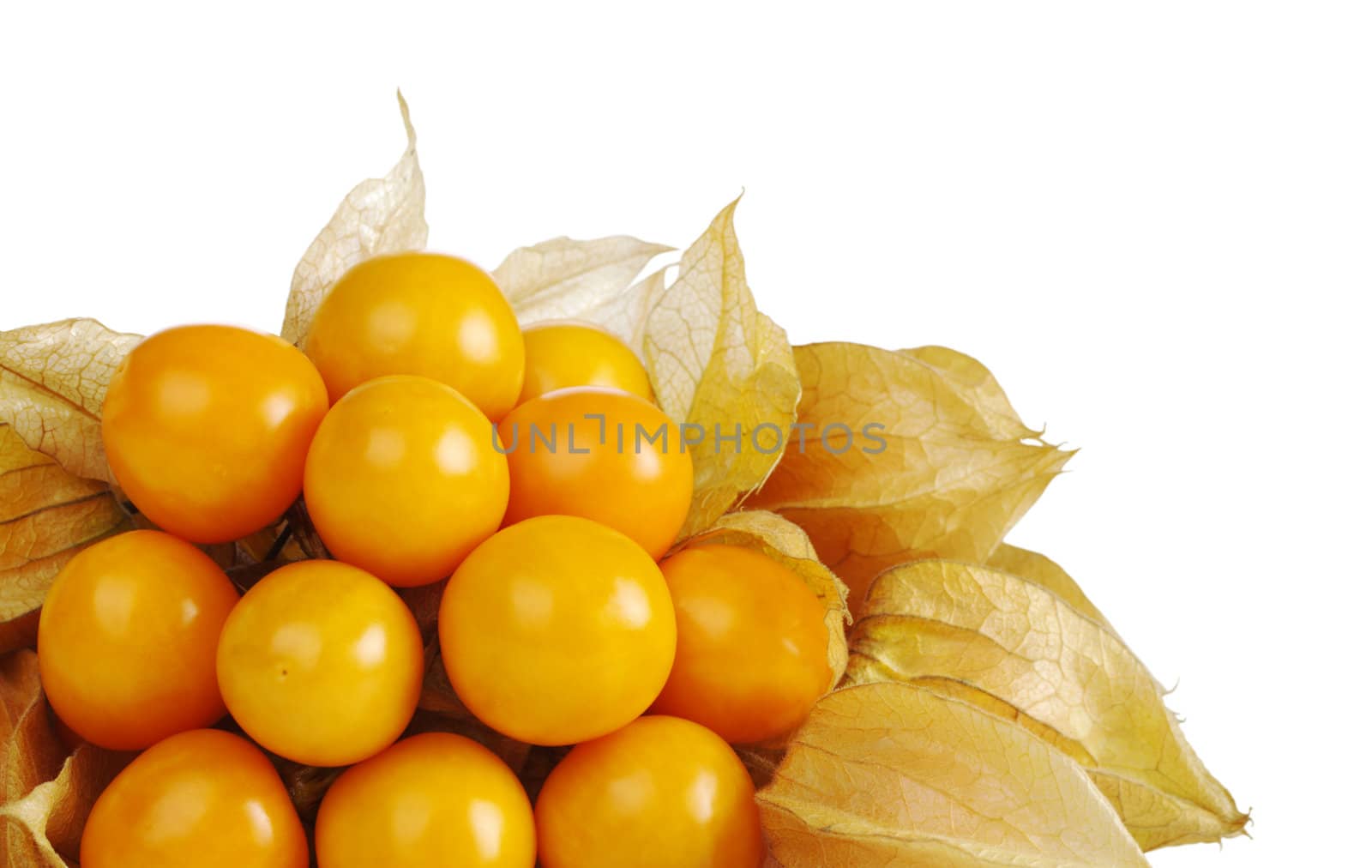 A bunch of vitamin-packed orange physalis isolated on white (Selective Focus) 