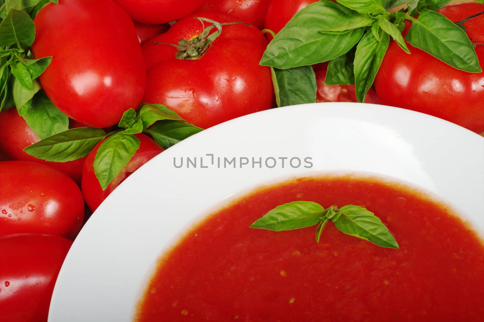 Tomato soup in white plate in between tomatoes and basil (Selective Focus)