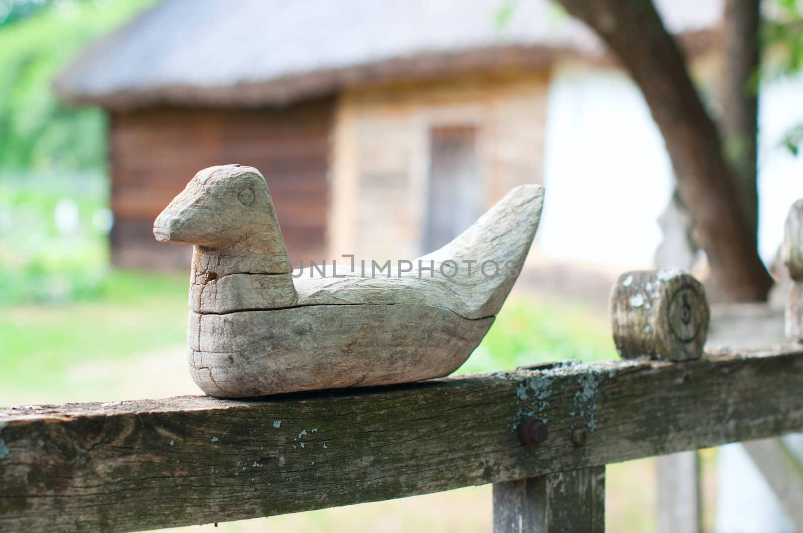 Wood duck - the Ukrainian national decorative element