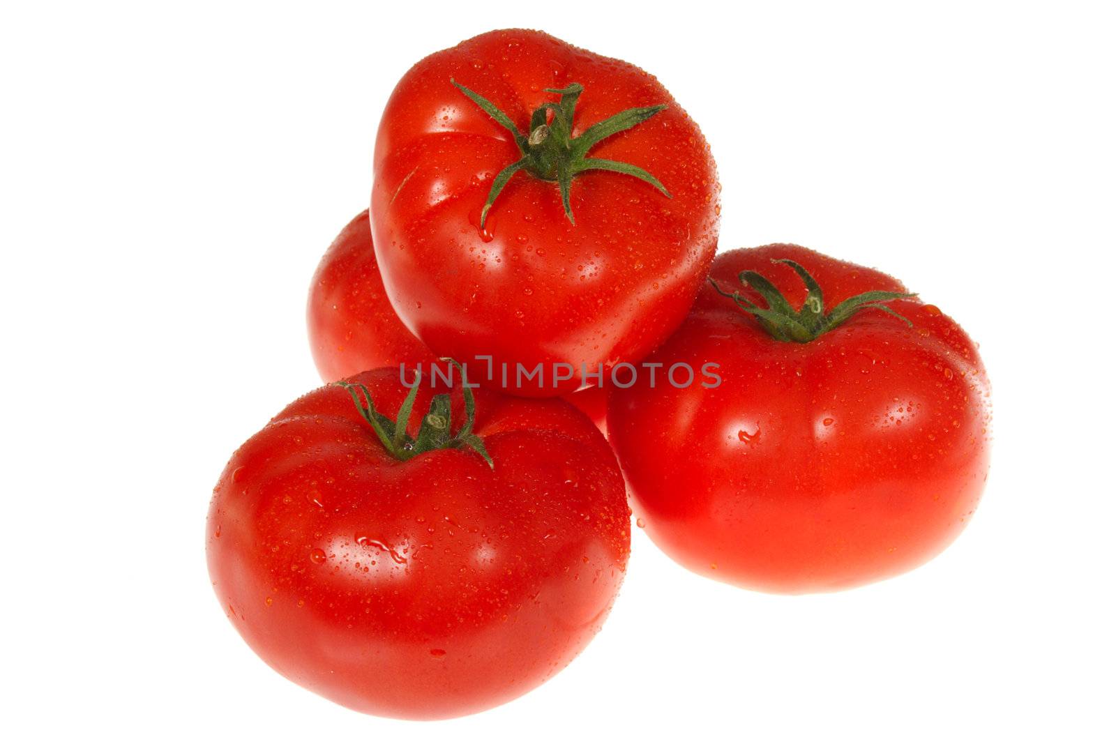 red tomatos, photo on the white background