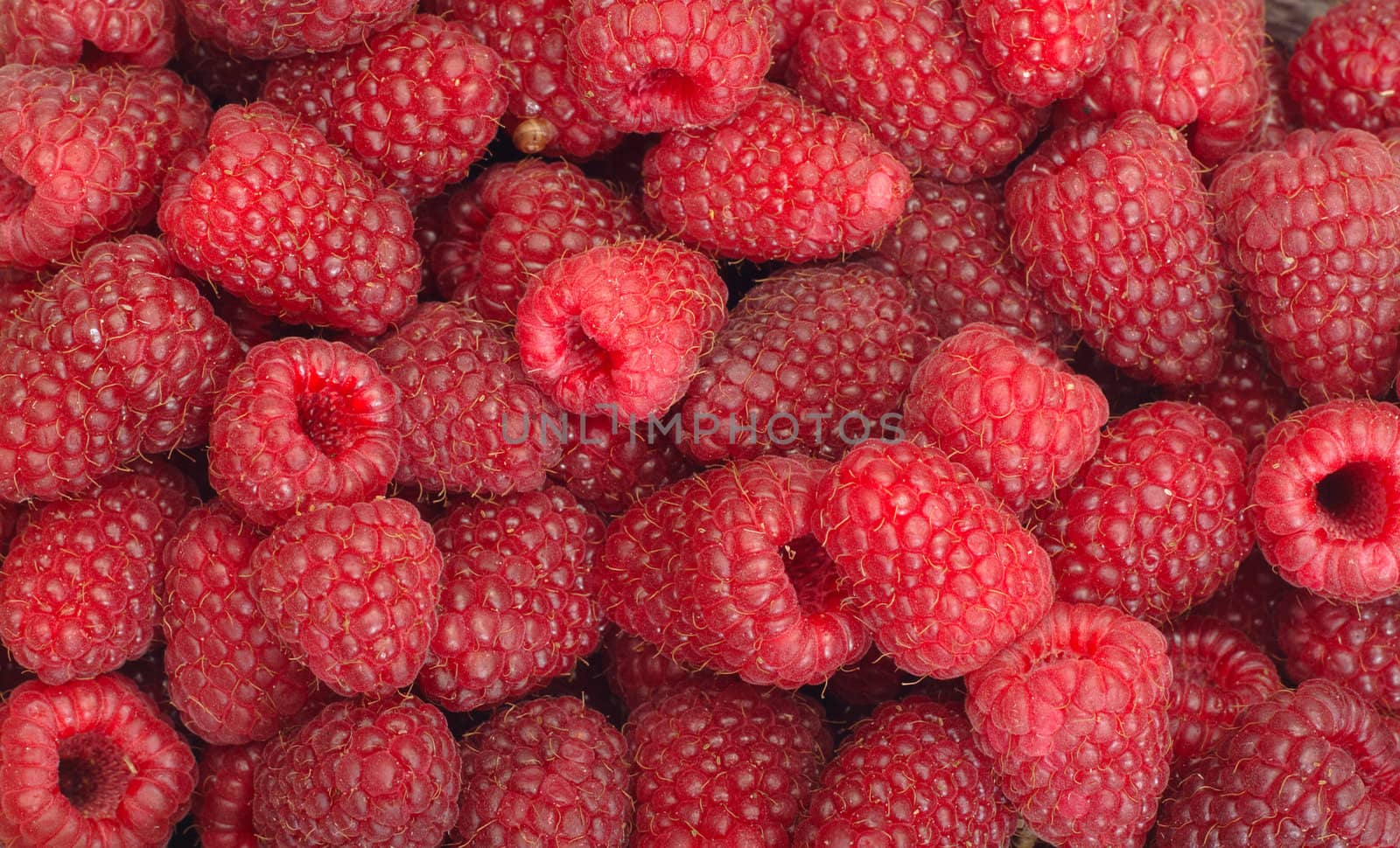 Group of Raspberries - the abstract food background