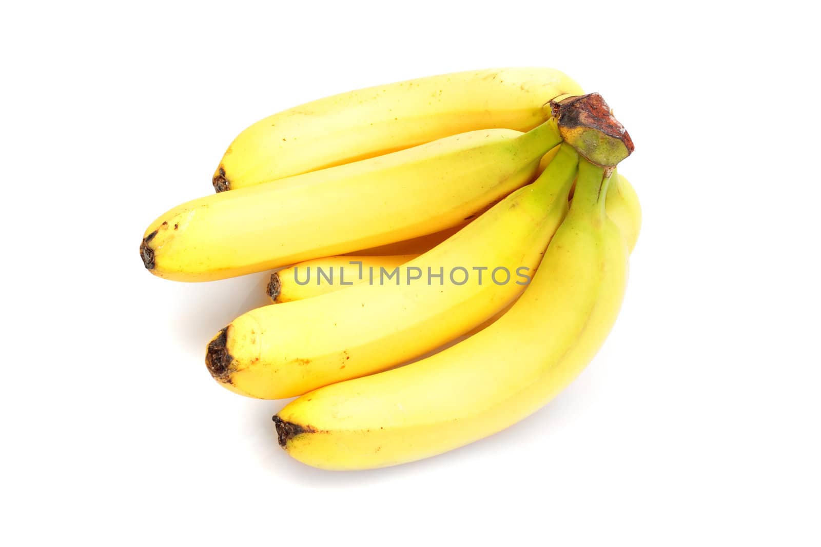 Bunch of bananas, photo on the white background