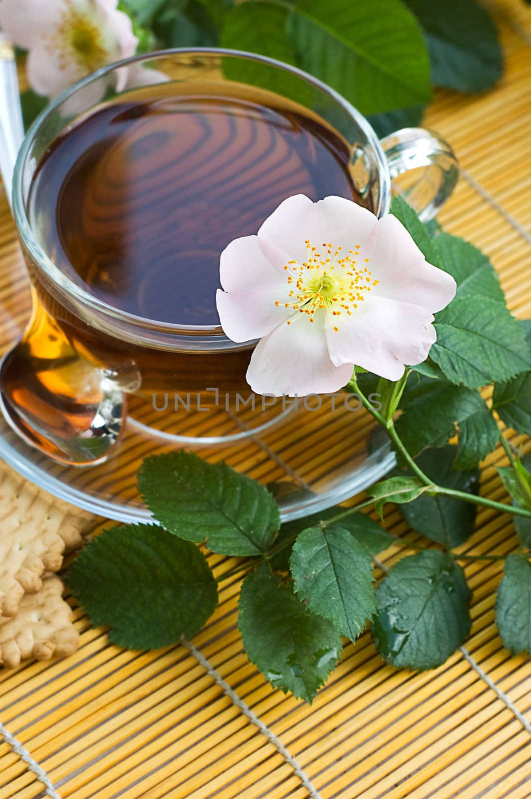 Cup of tea with dog-rose blossom