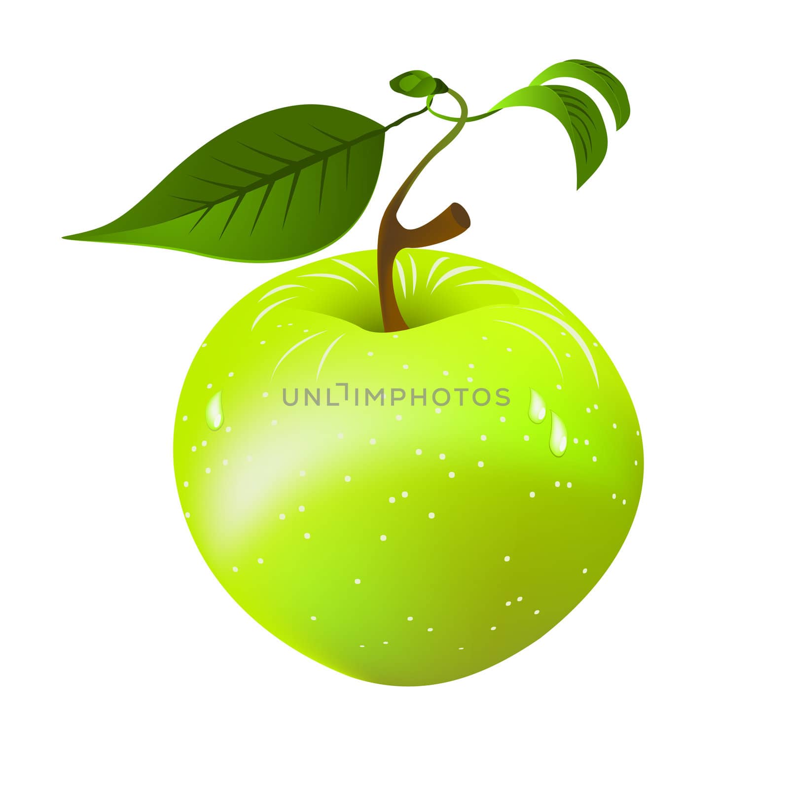 Fresh green apple with leaves