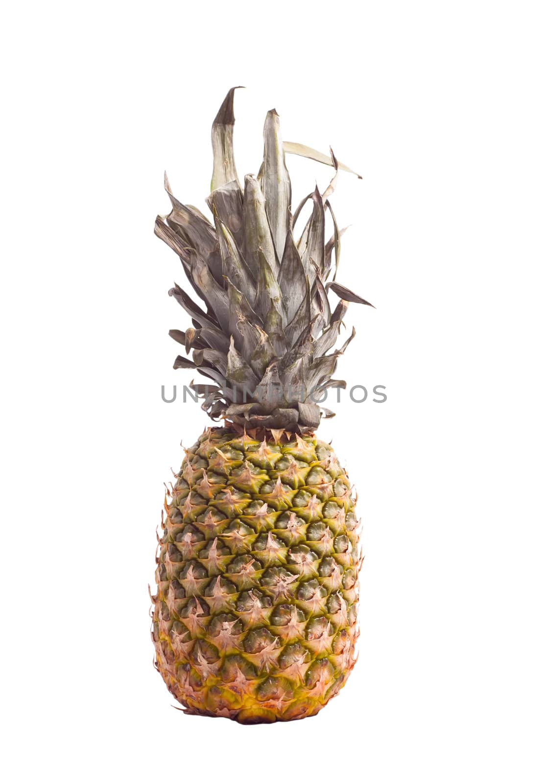 Photo of pineapple isolated on white background.