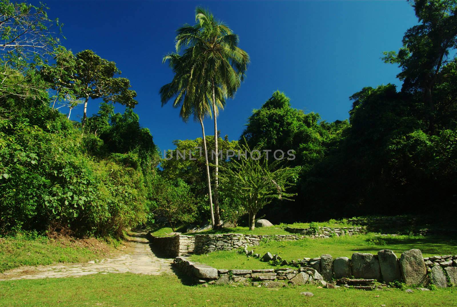 Pueblito: Ruins of an ancient settlement of the people called Tayrona in Northern Colombia