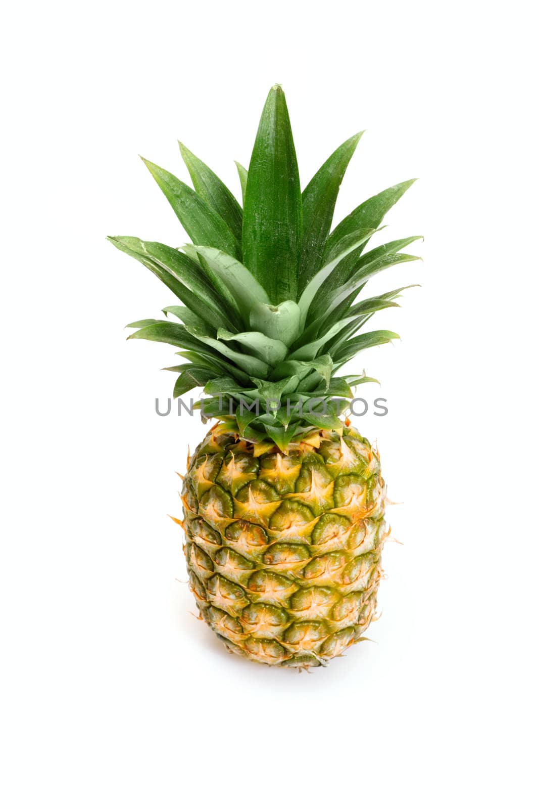 ripe pineapple, photo on the white background
