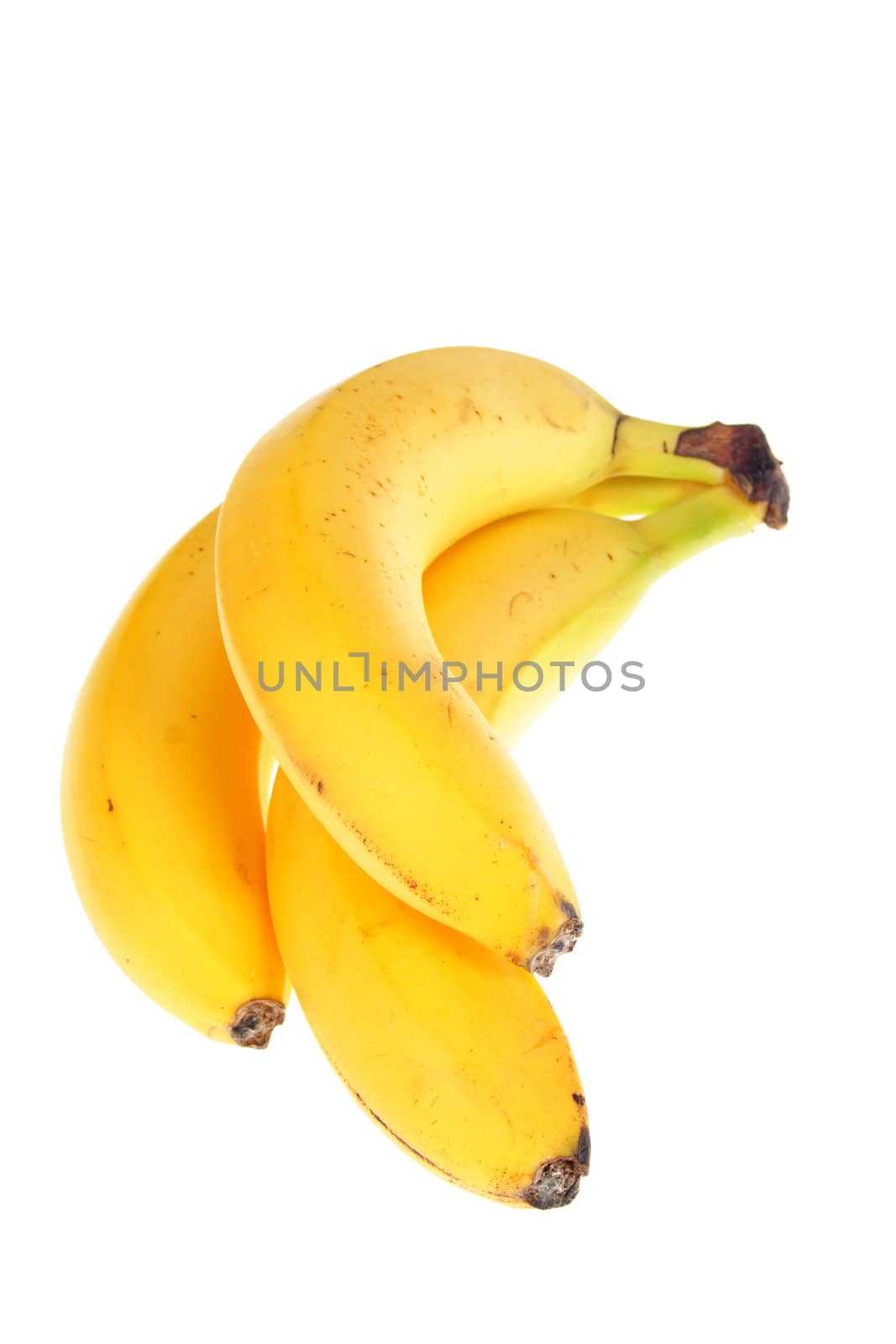 Bunch of bananas, photo on the white background