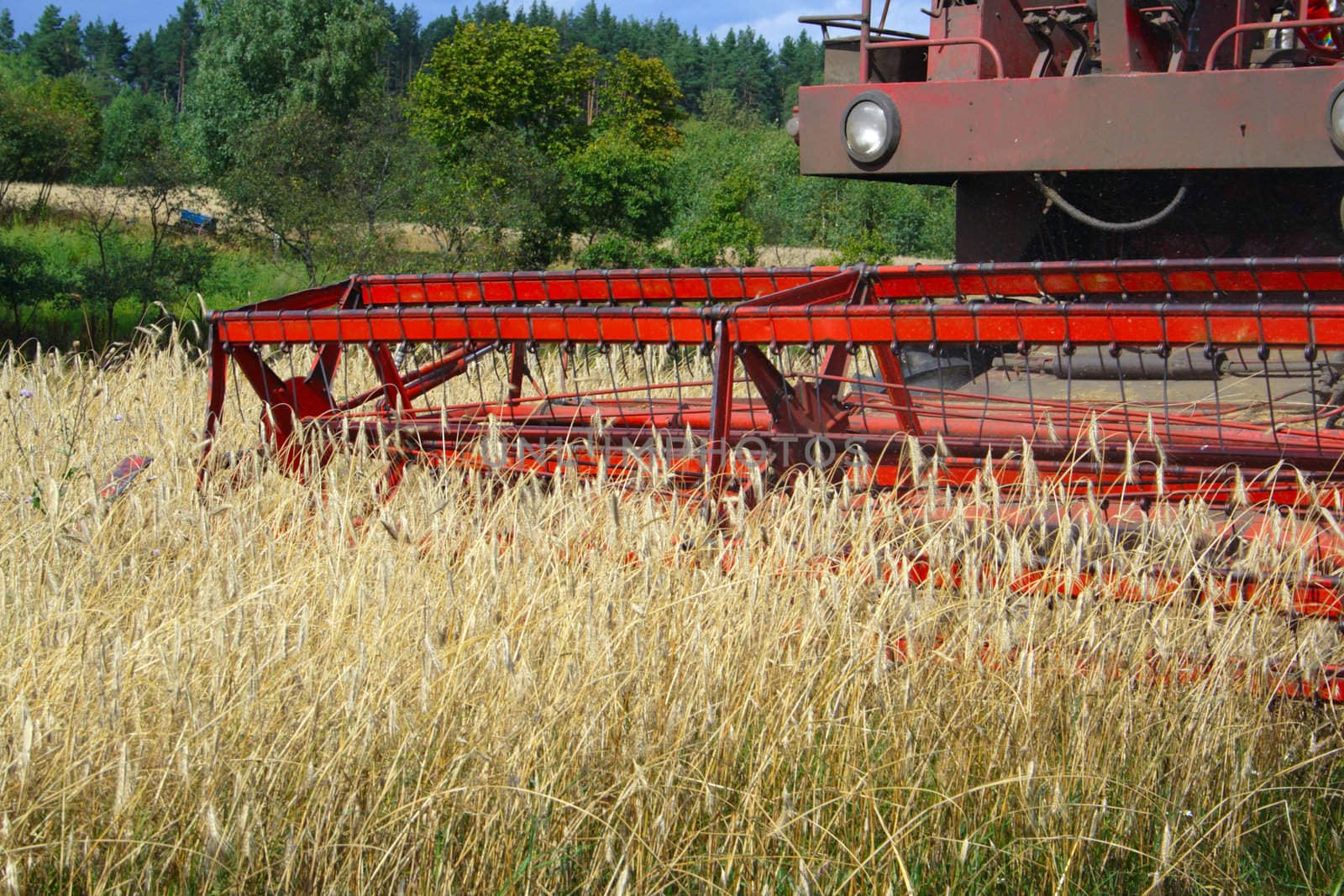 combine harvester in track of work gatherings of cereal