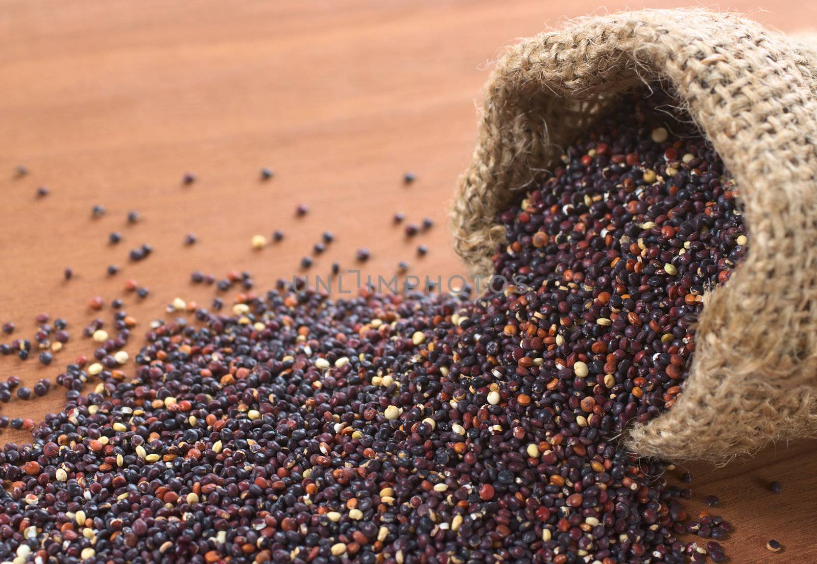 Raw red quinoa grains in jute sack on wood. Quinoa is grown in the Andes and is valued for its high protein content and nutritional value (Selective Focus, Focus on the quinoa in the first part of the sack running through the picture to the left)