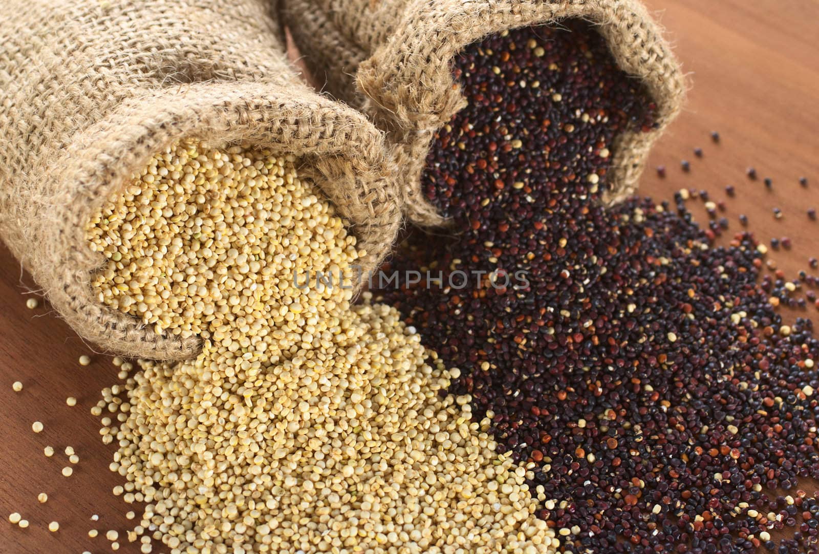 Raw red and white quinoa grains in jute sack on wood. Quinoa is grown in the Andes region  and has a high protein content and a high nutritional value (Selective Focus, Focus on the white quinoa grains at the sack opening running through to the right corner)