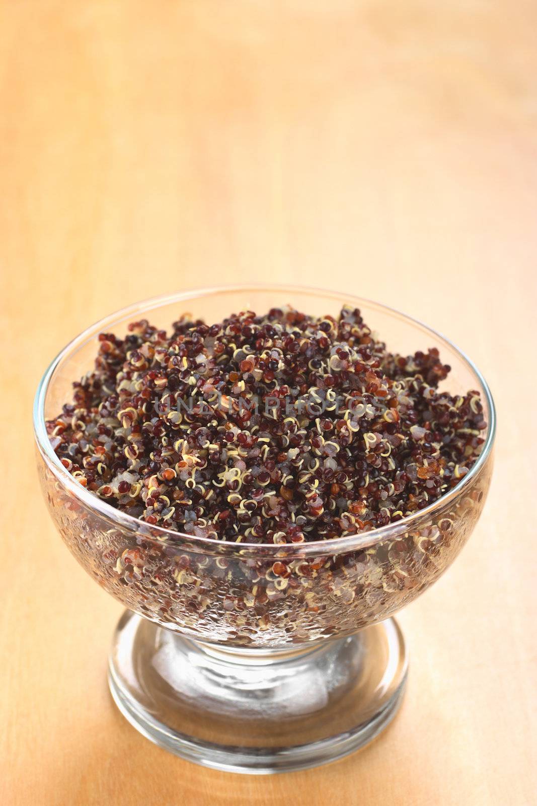 Cooked red quinoa in glass bowl which can be eaten as a side dish like rice and is rich in proteins (Selective Focus, Focus on the front of the quinoa) 