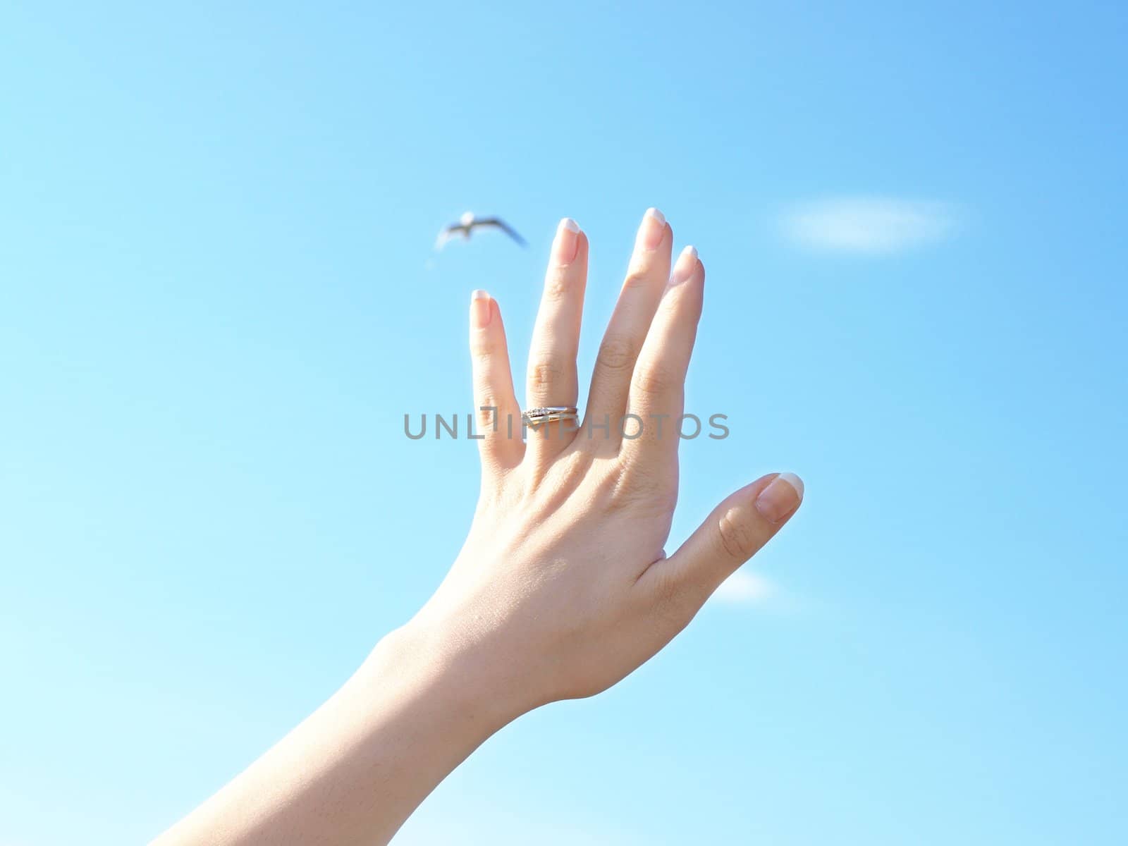 Married woman reaching towards fresh blue sky