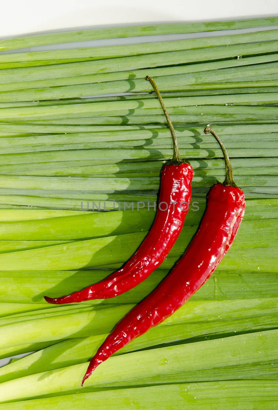 Slim red peppers. by sauletas