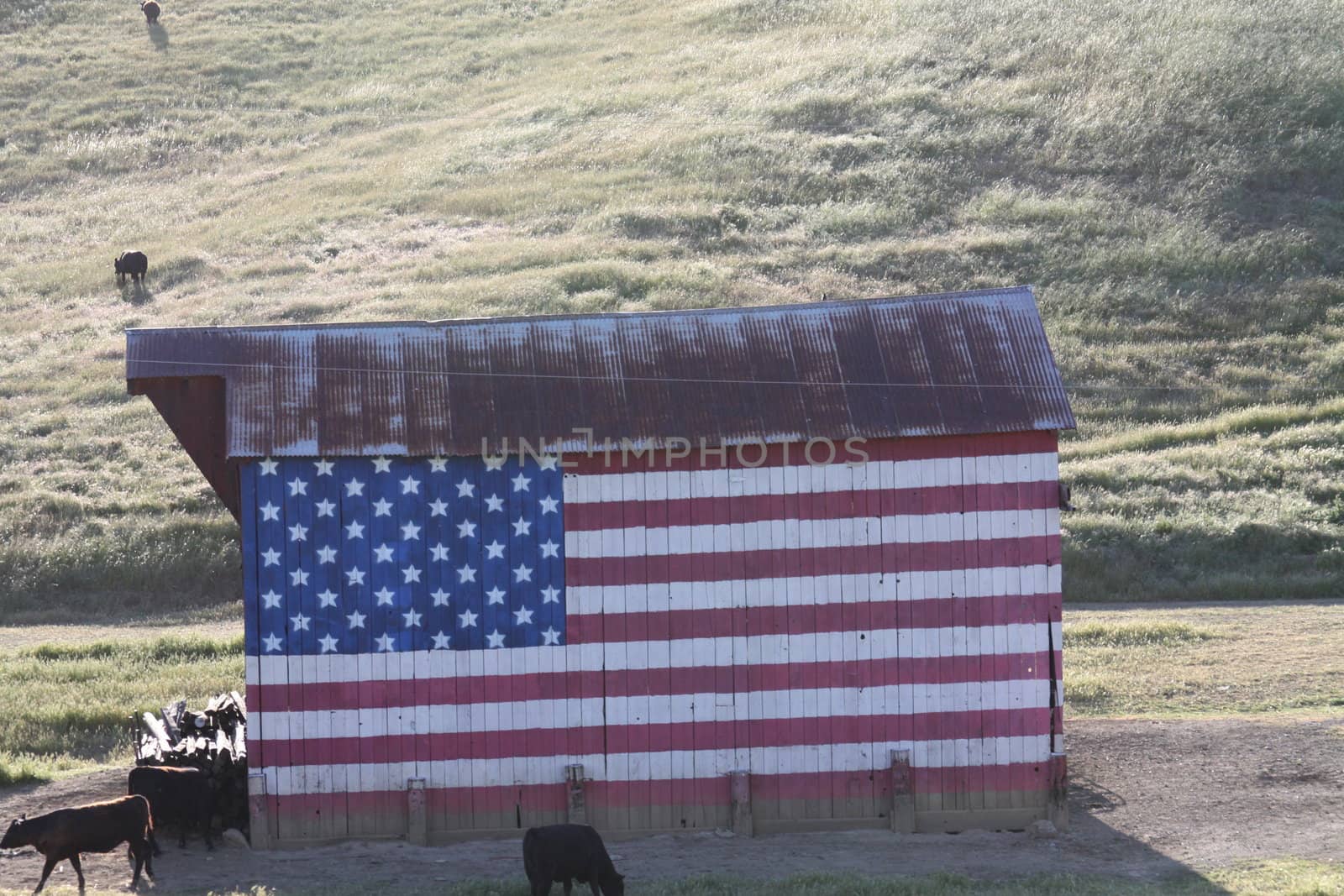 Barn in a farm close up.