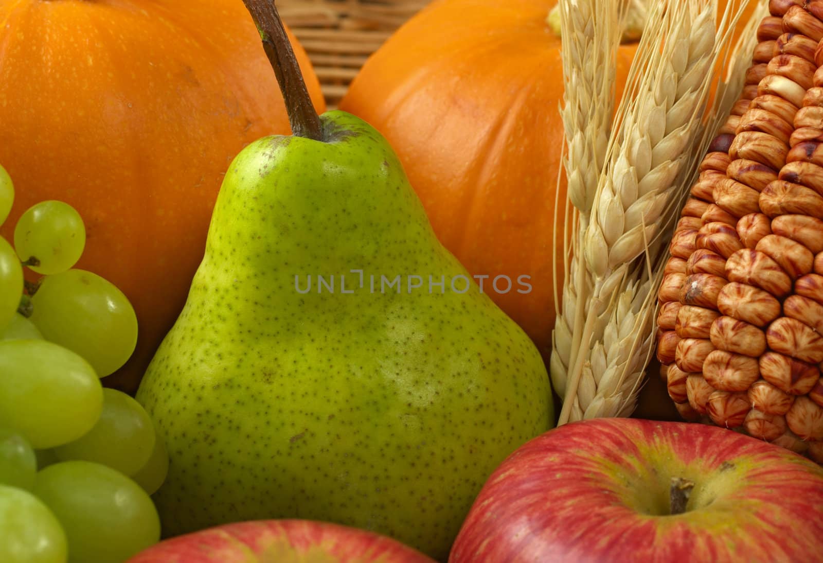 Green pear among other autumn harvest products, such as pumpkin, grapes, apples, corn and wheat (Selective Focus, Focus on the pear)