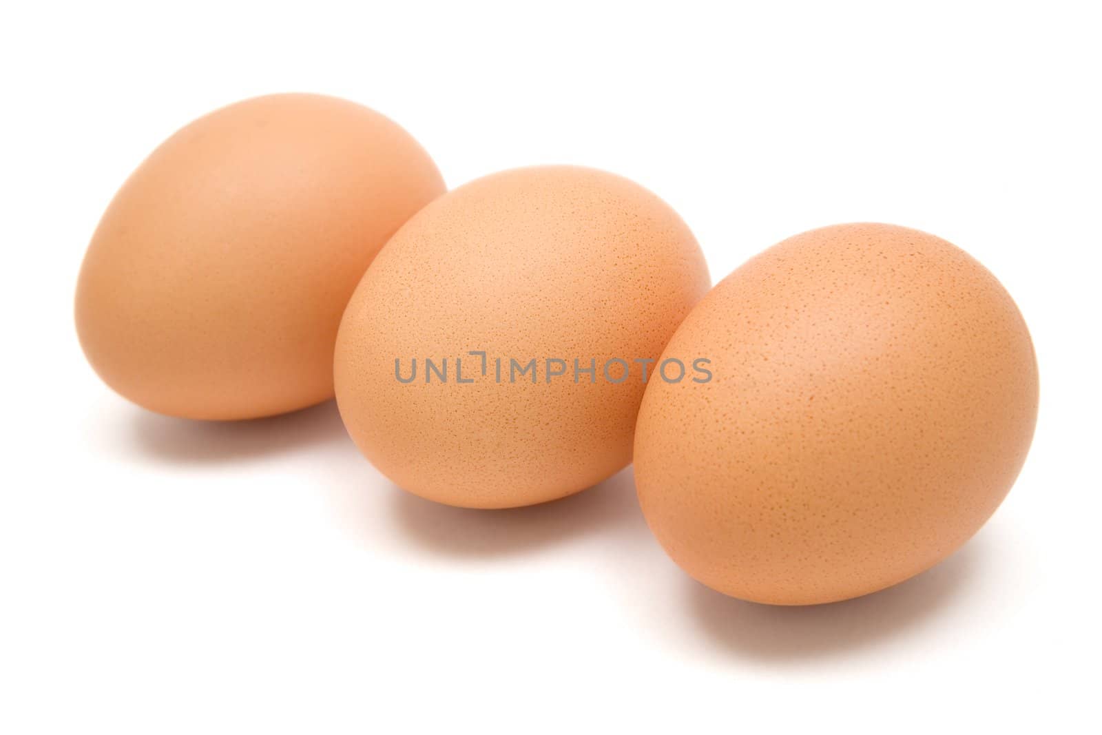 Three animal eggs in a row. White background.