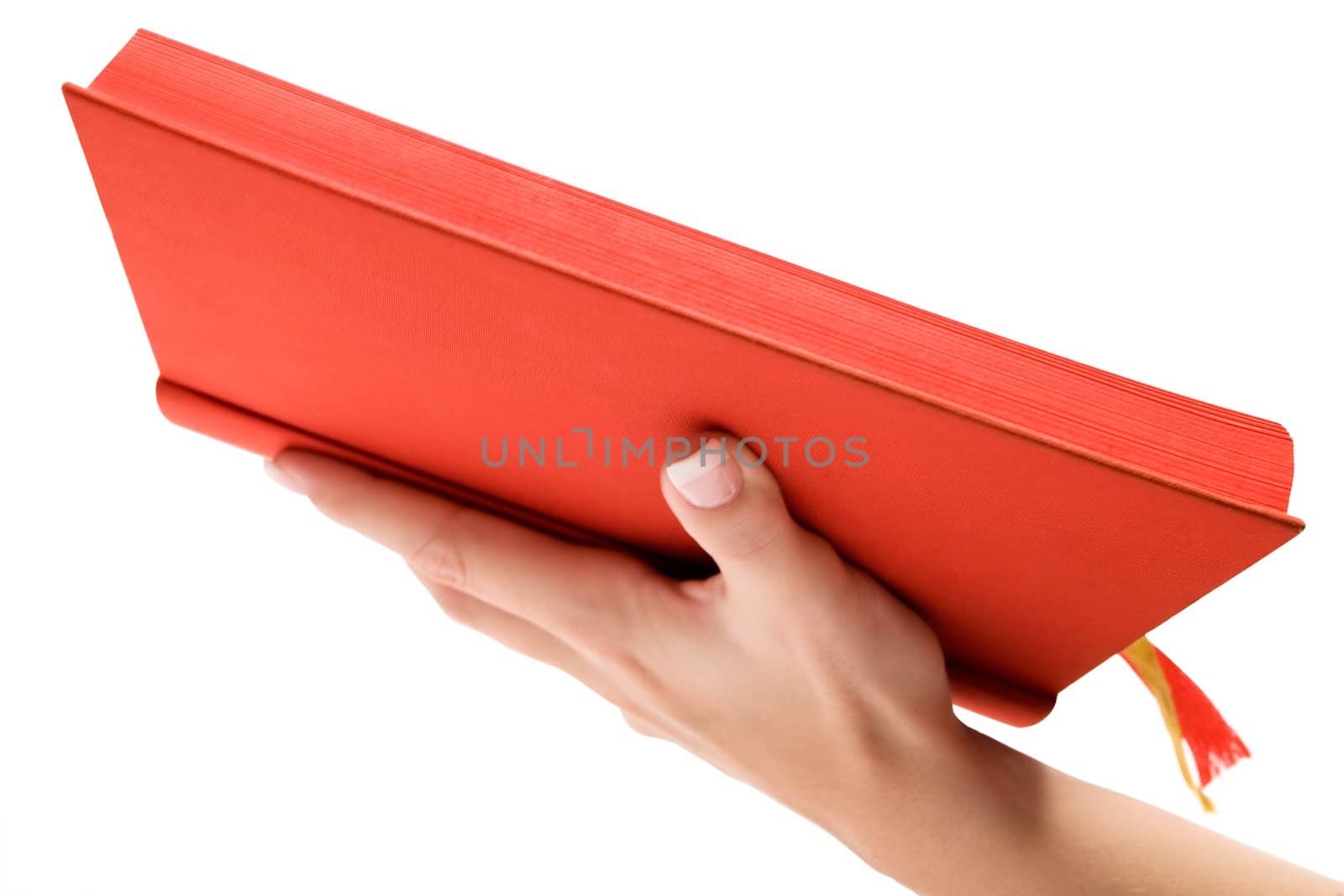 Female hand holding the holy book. Isolated on a white background.