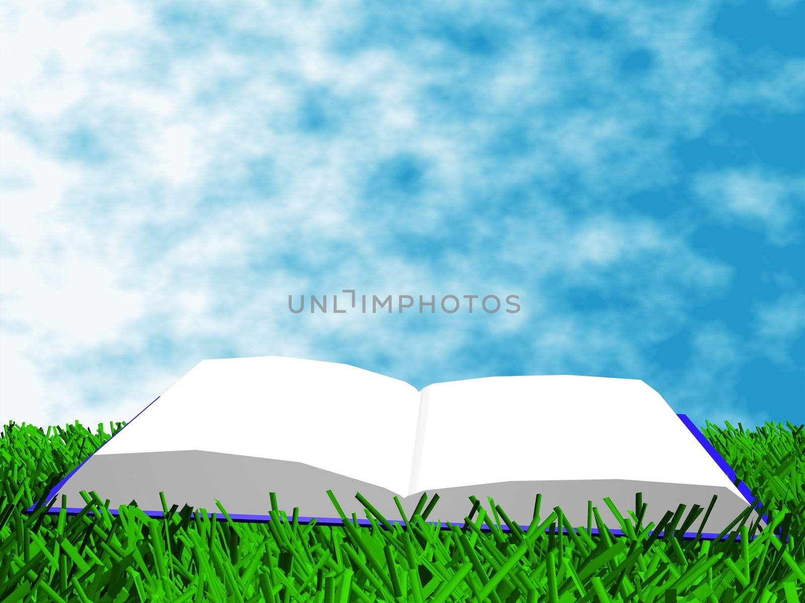 The book on the grass against a backdrop of sky by mvprint