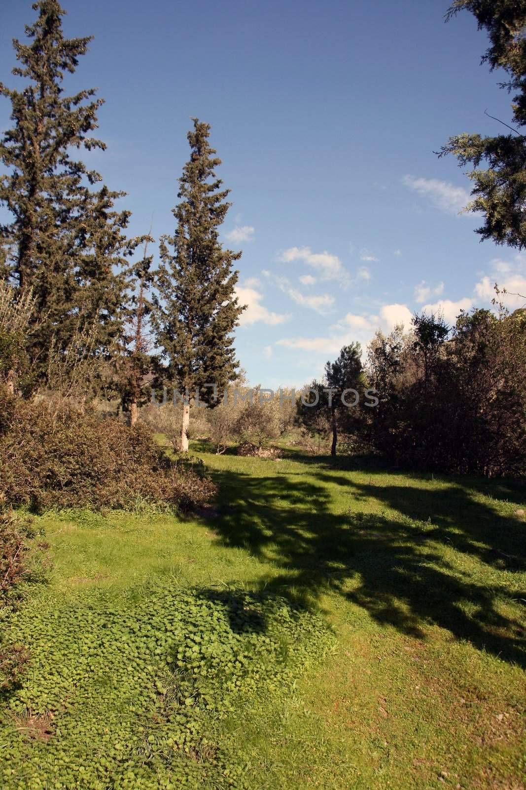 walk in nature enviornmental concepts for background use with copy-space