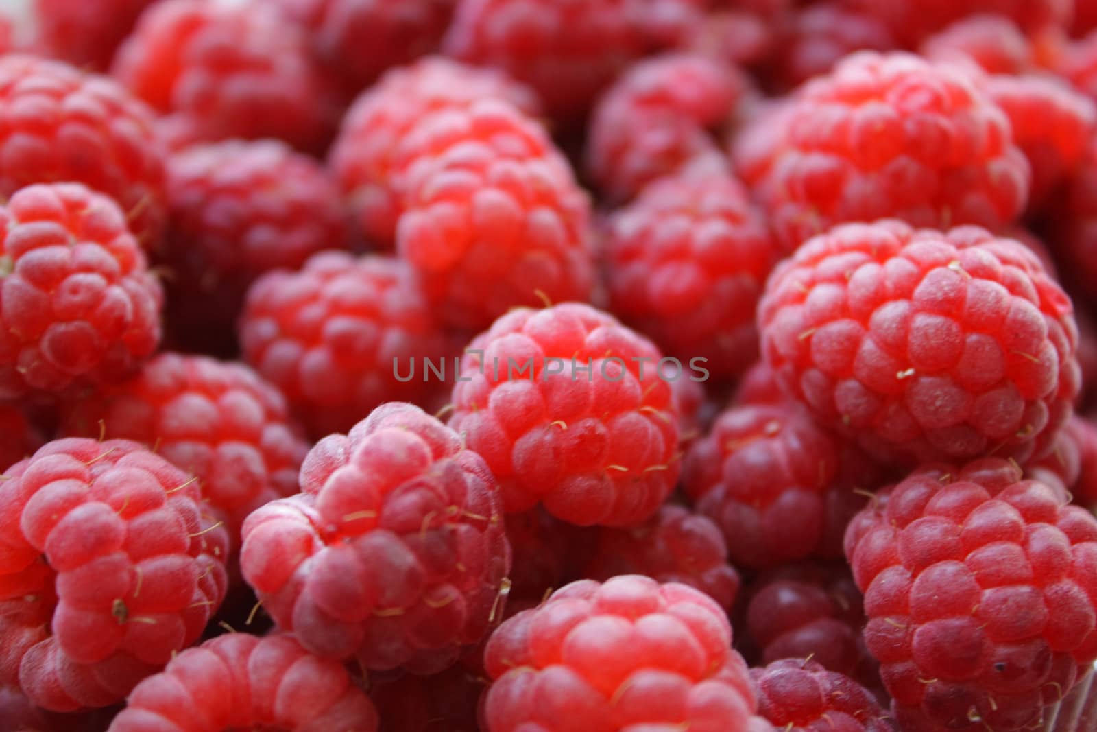 Close up of the fresh raspberries. Background.