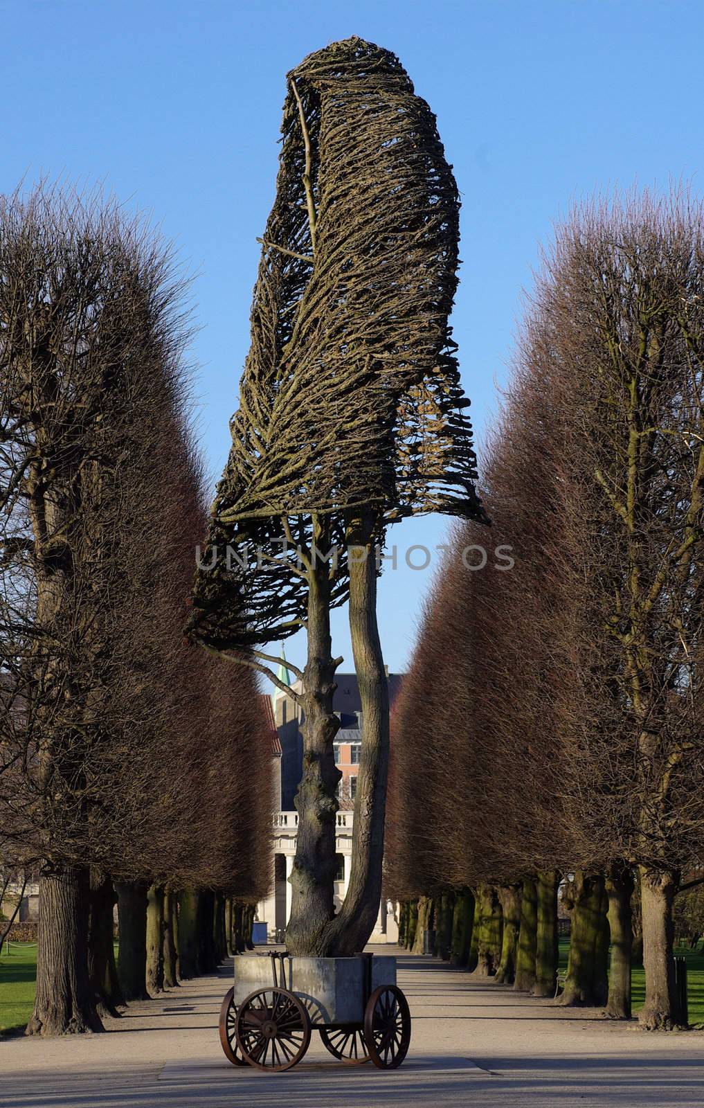 Tree in a Park in Copenhagen by ildi