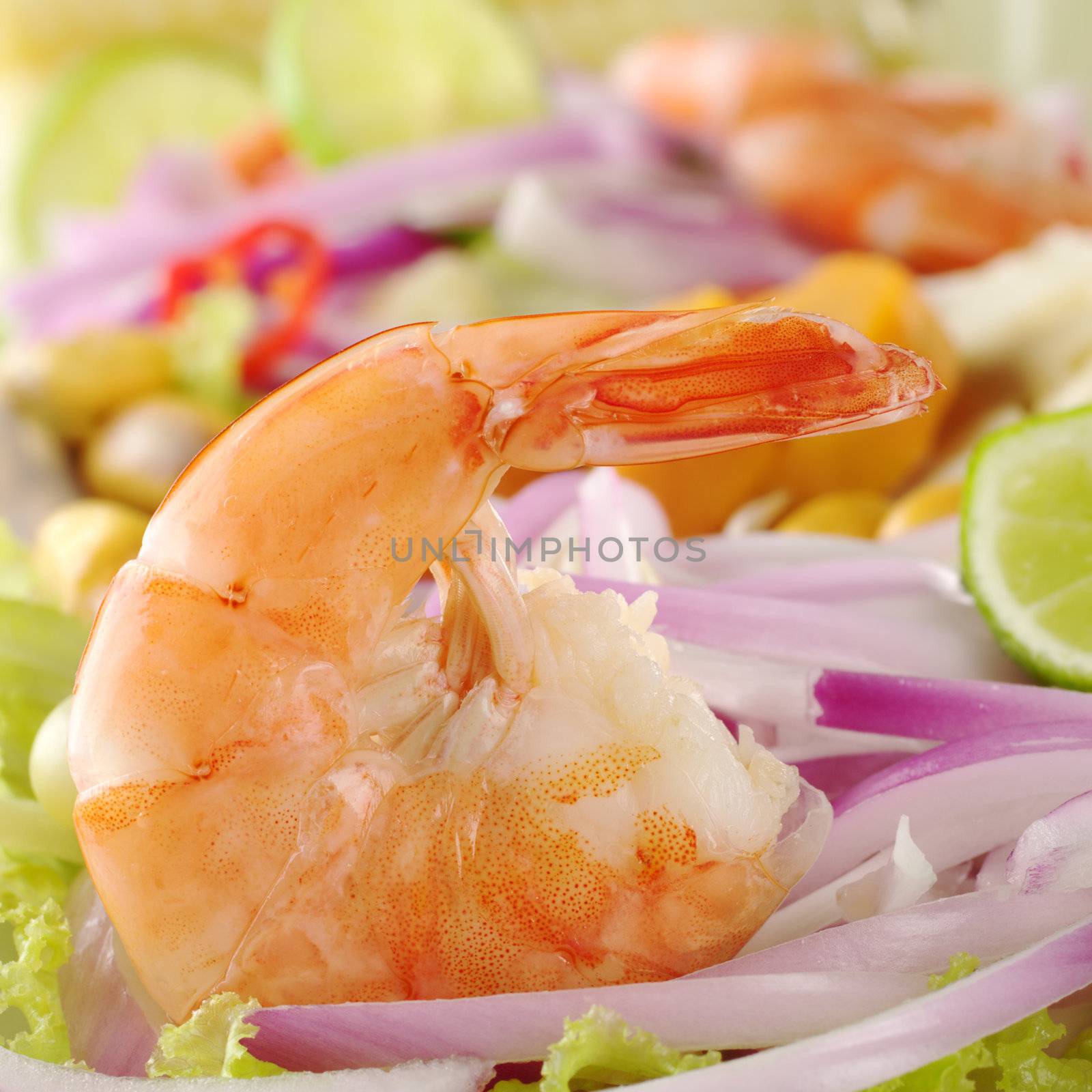 Peruvian Prawn Ceviche: King prawn on red onions and lettuce with lime slices (Selective Focus, Focus on the prawn)  