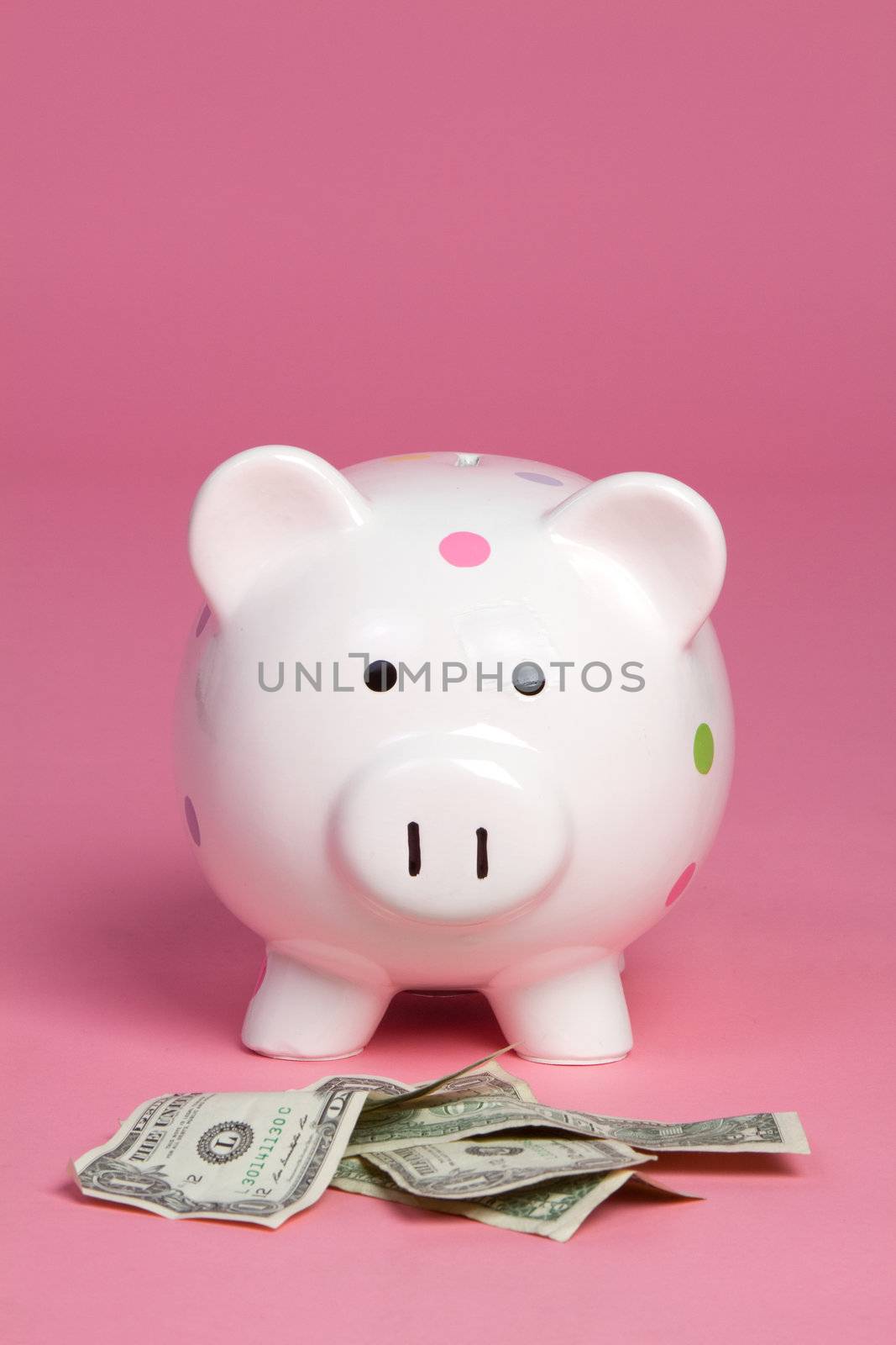 Money pig on pink background