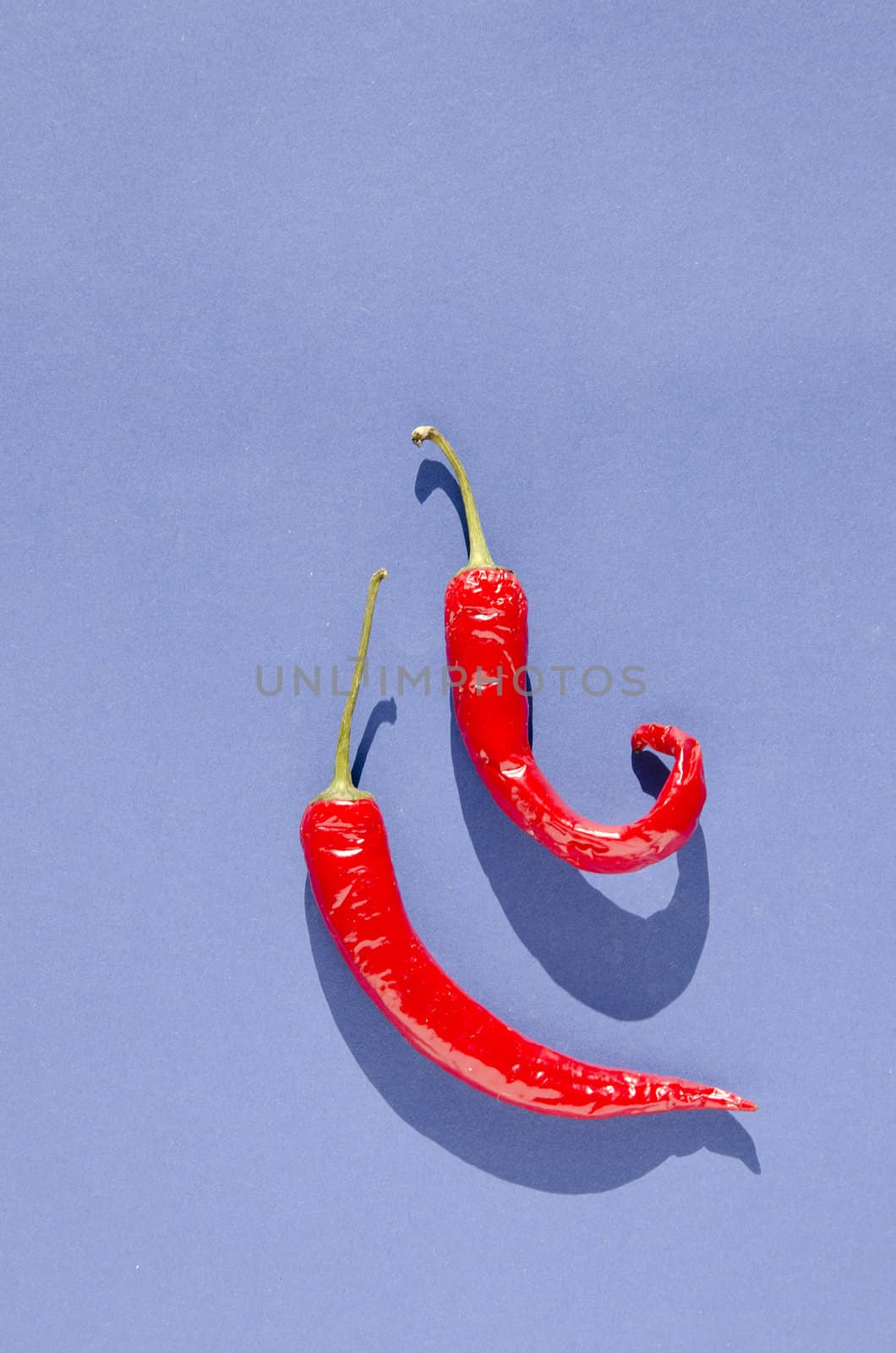 two red chilli peppers by alis_photo