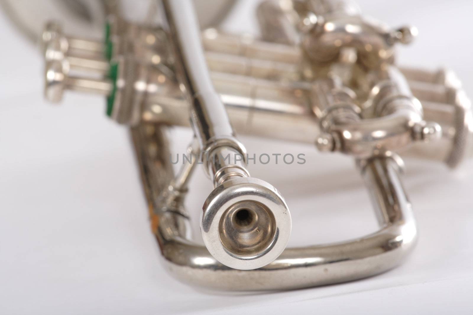 Old trumpet photo on the white background 