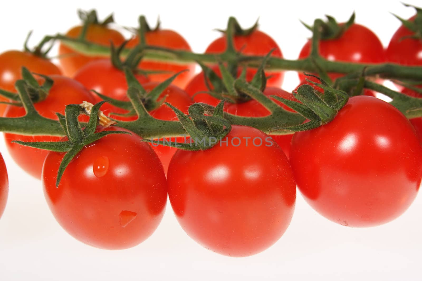 red tomatoes,, photo on the white background