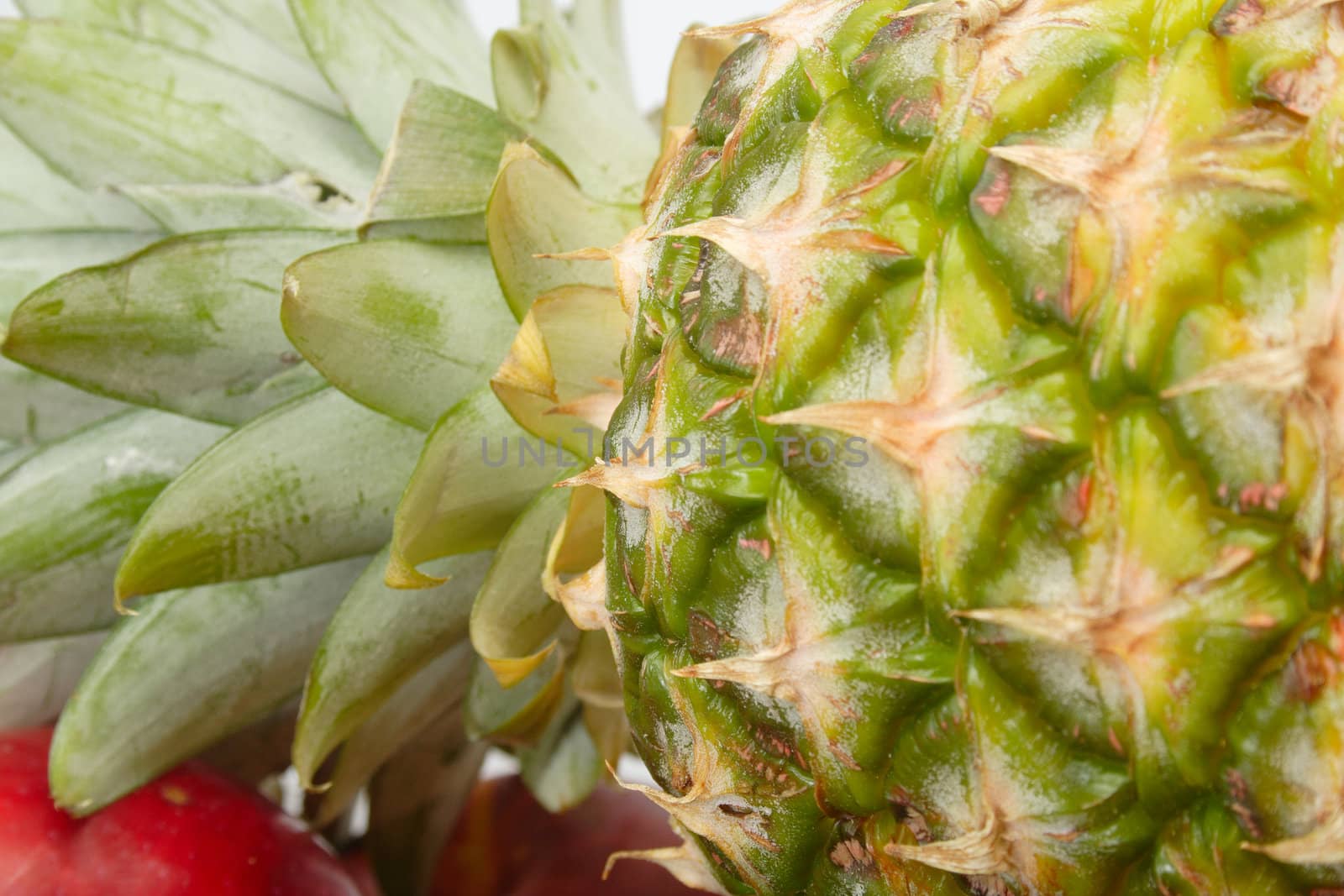 macro shot of Pineapple, the colored photo