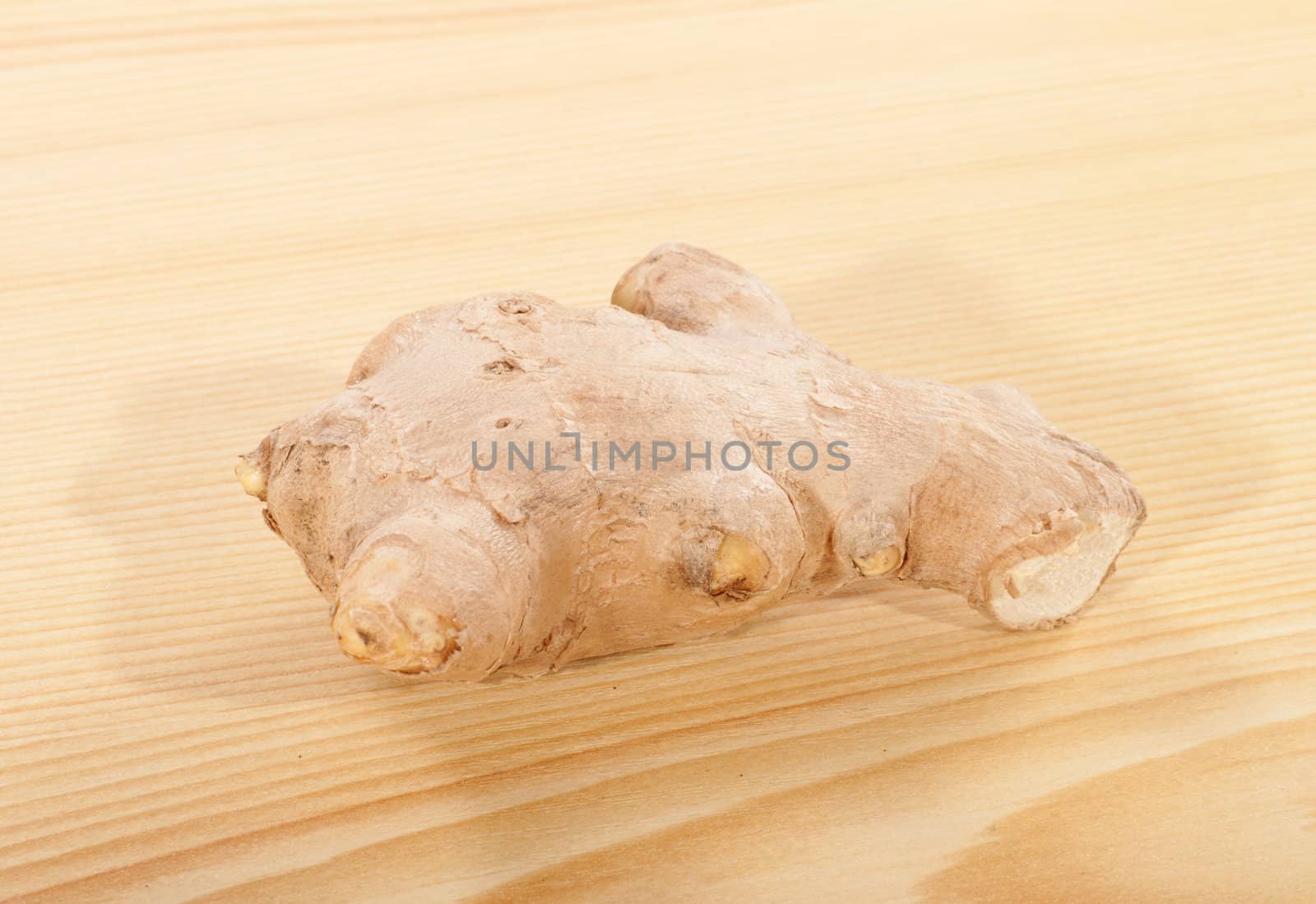 ginger root by aguirre_mar