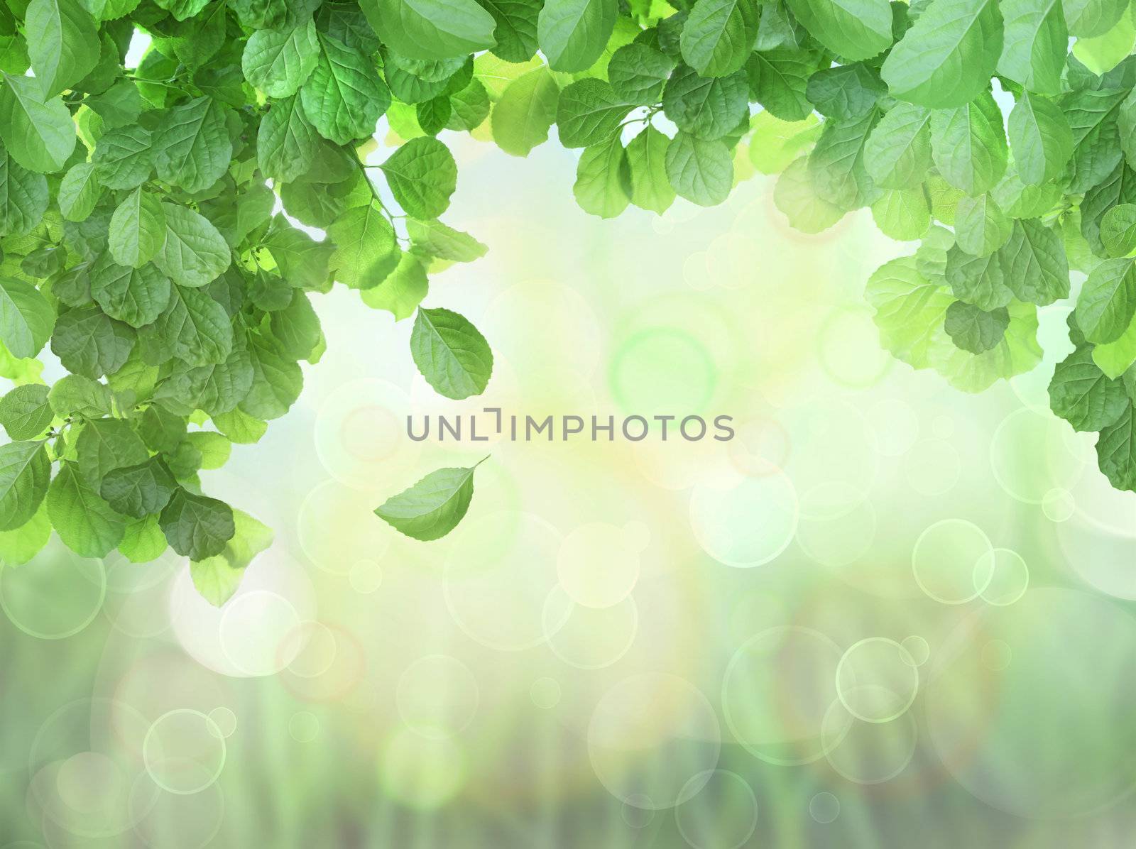Spring Background With Leaves and brokeh effect by Sandralise