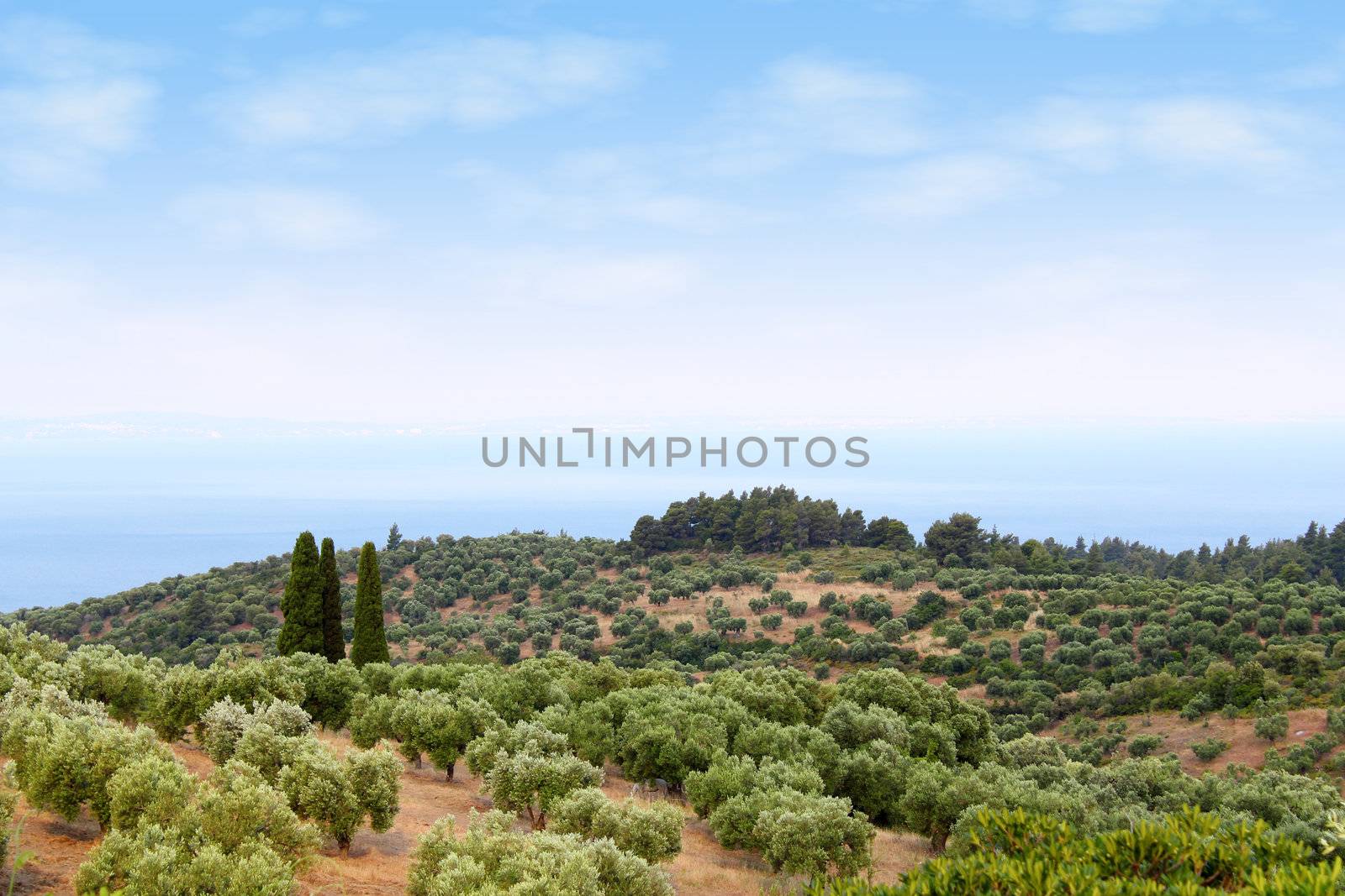 Sithonia Halkidiki Greece landscape
