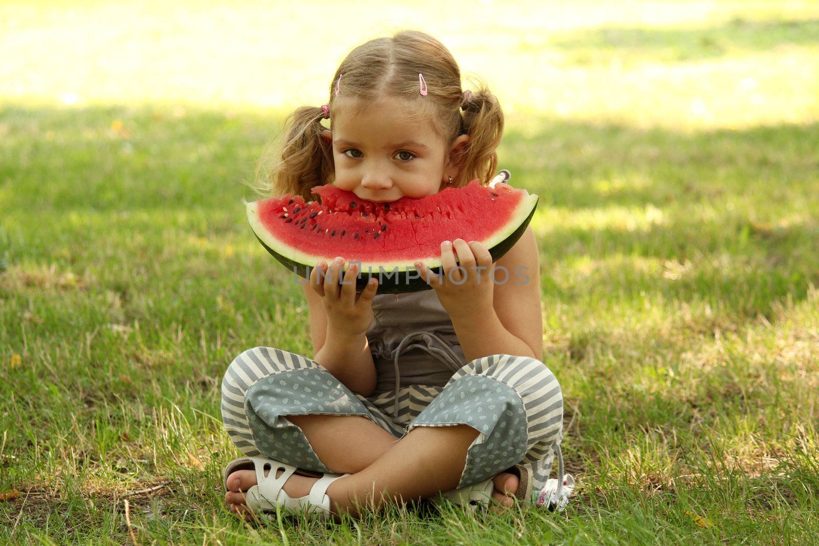 little girl eat watermelon in park by goce