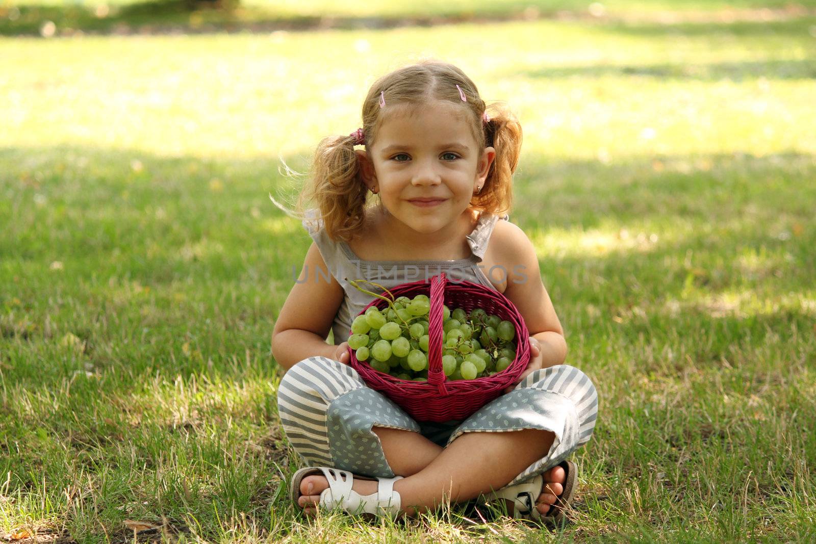 little girl holding basket with grape by goce