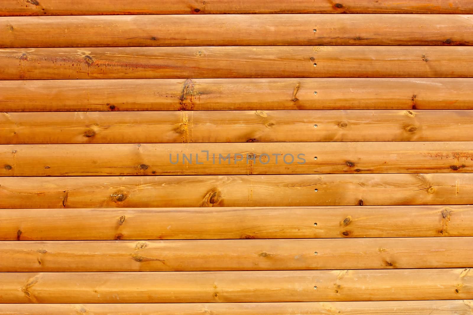 Section of an wooden plank wall