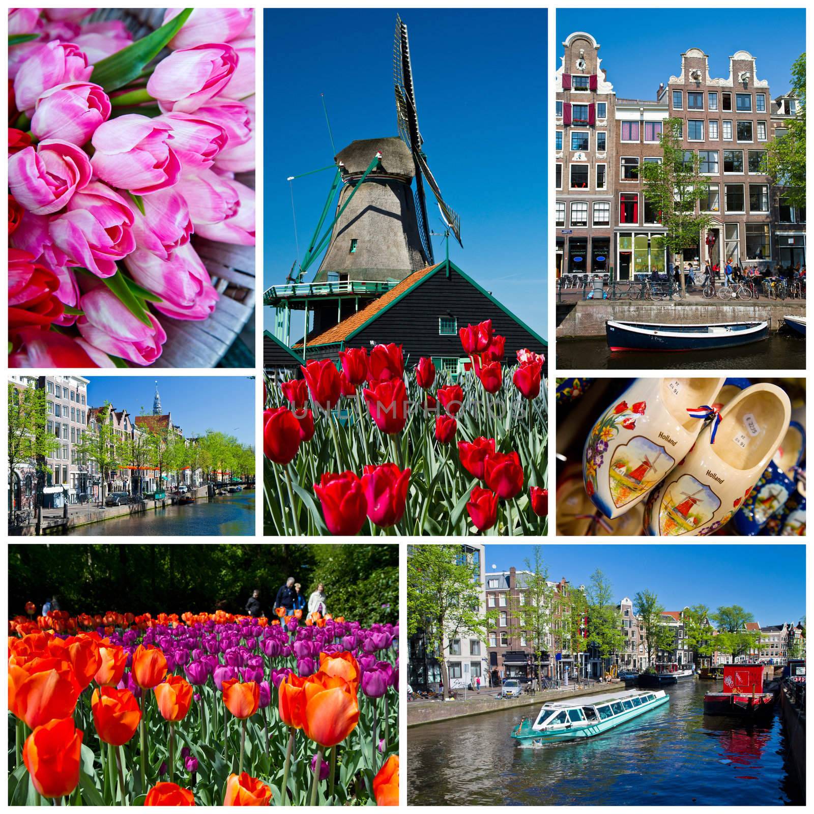 holland collage by lsantilli