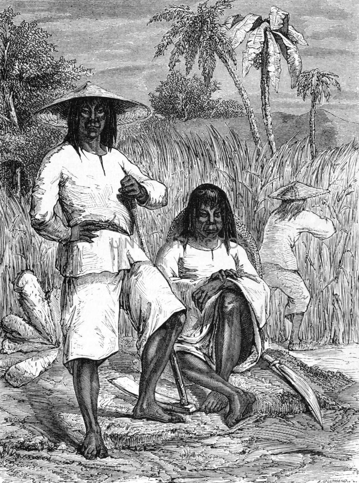 Chinese Coolies in the Havana on engraving from 1871.