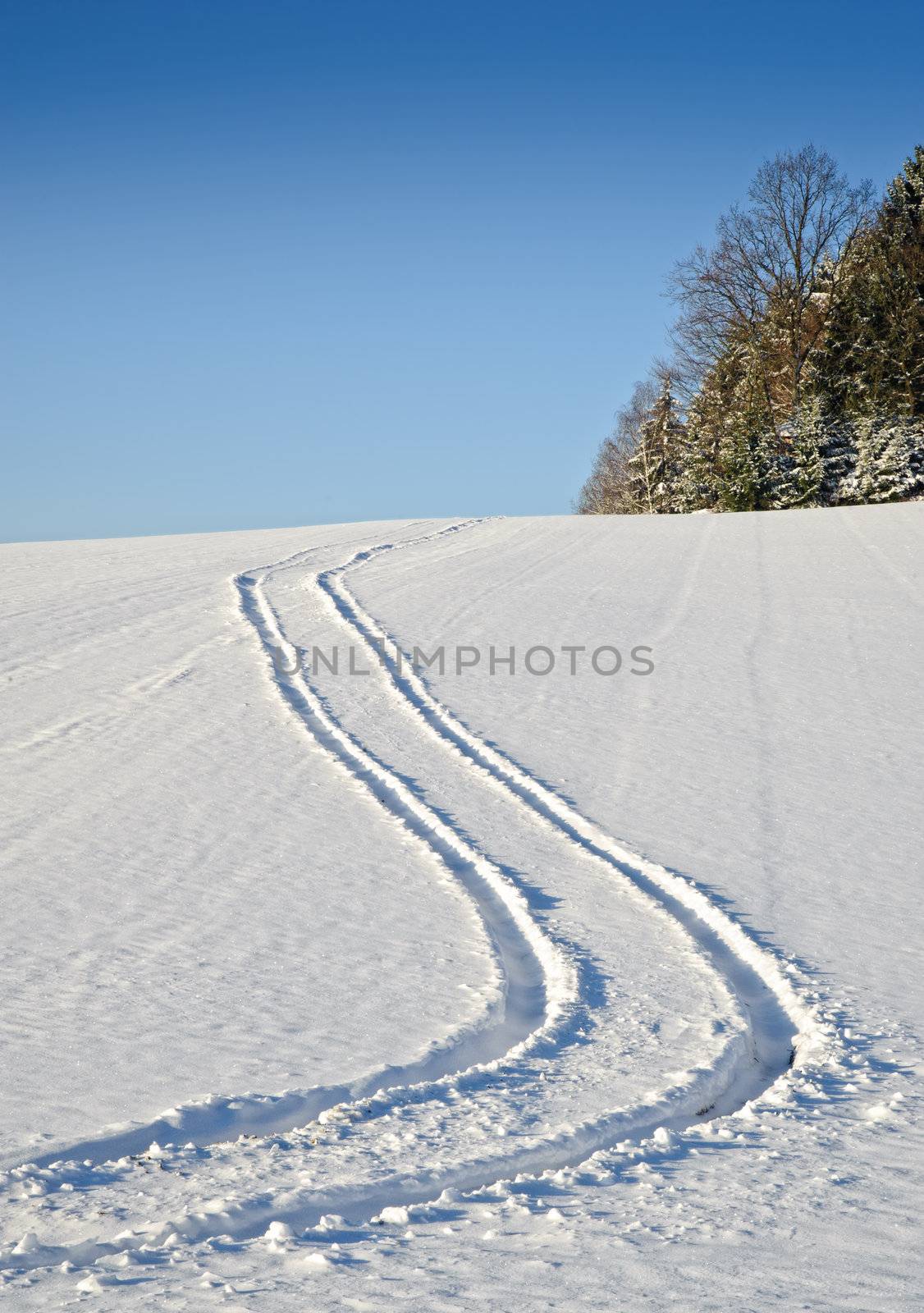 Tyre Track in the Snow in an austrian Landscape