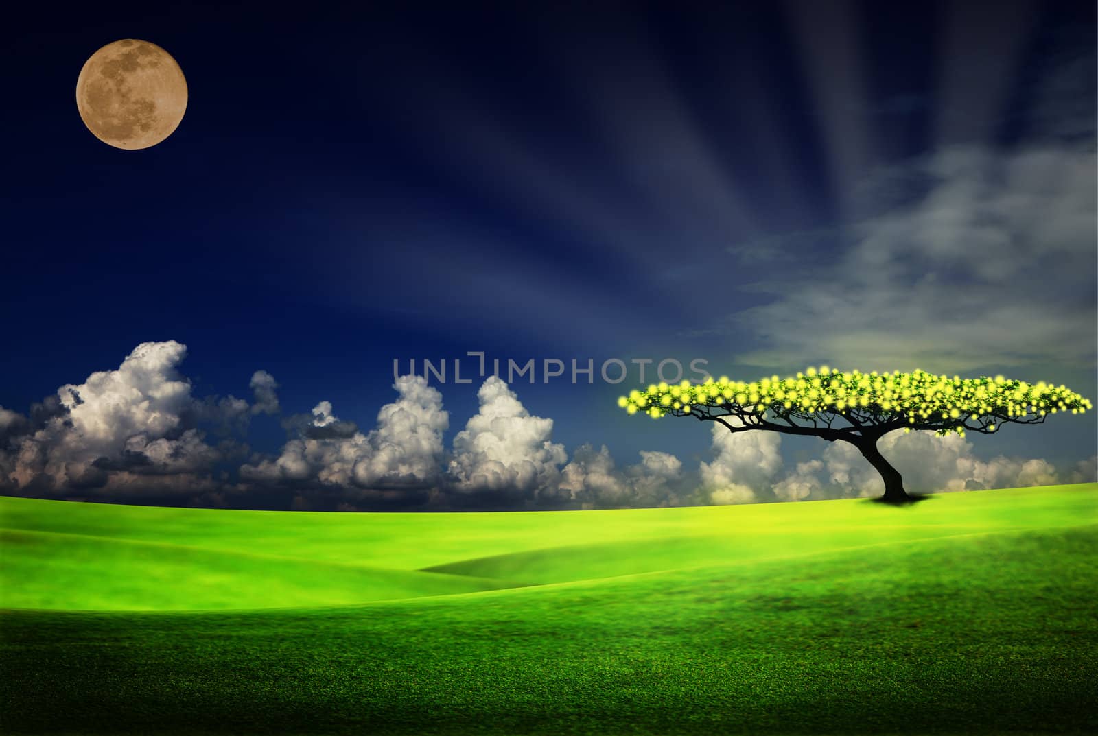 alone tree on grass field by Suriyaphoto