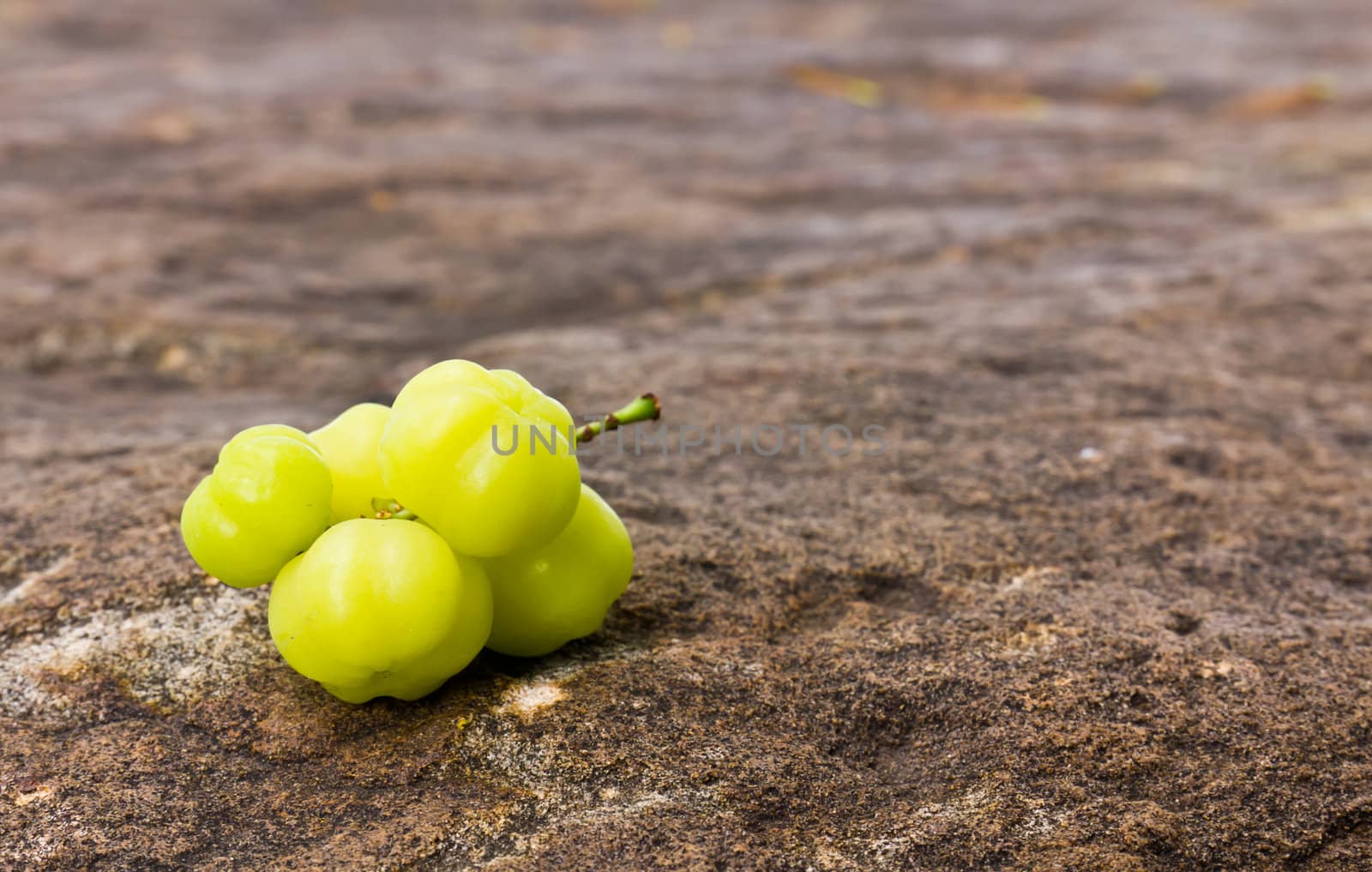 Star Gooseberry On stone background