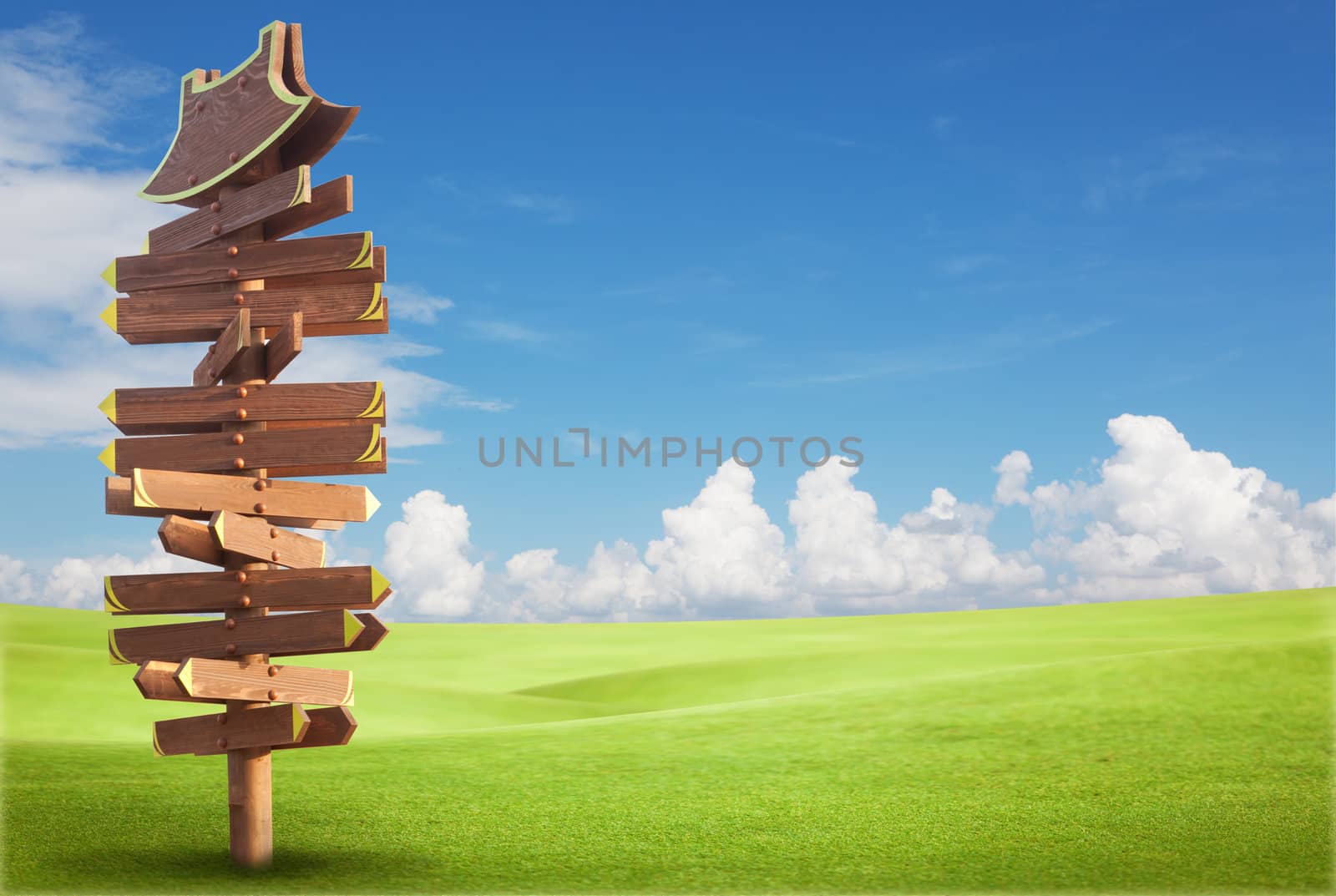 Wooden sign on the green field with blue sky