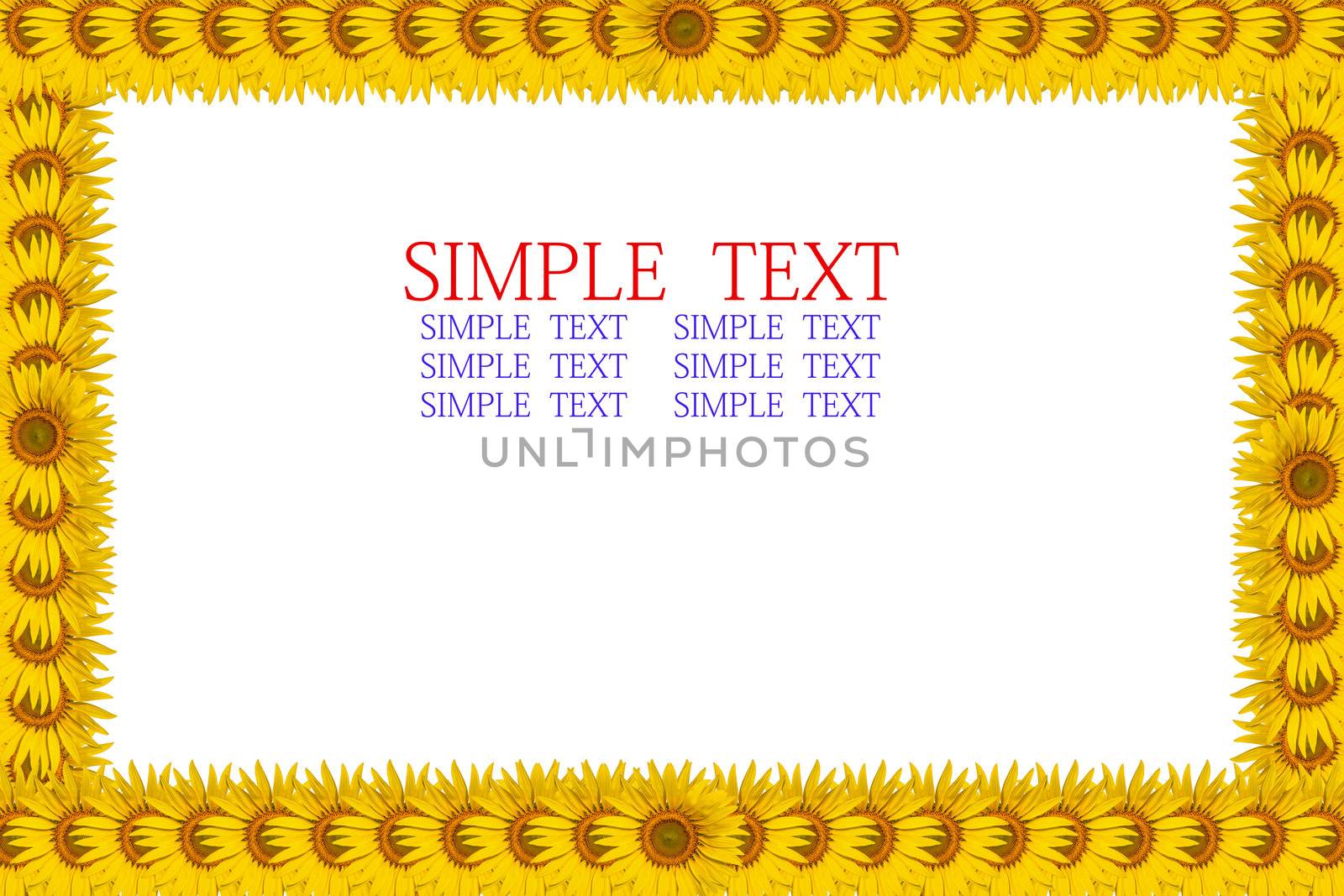 sunflower frame with space for text