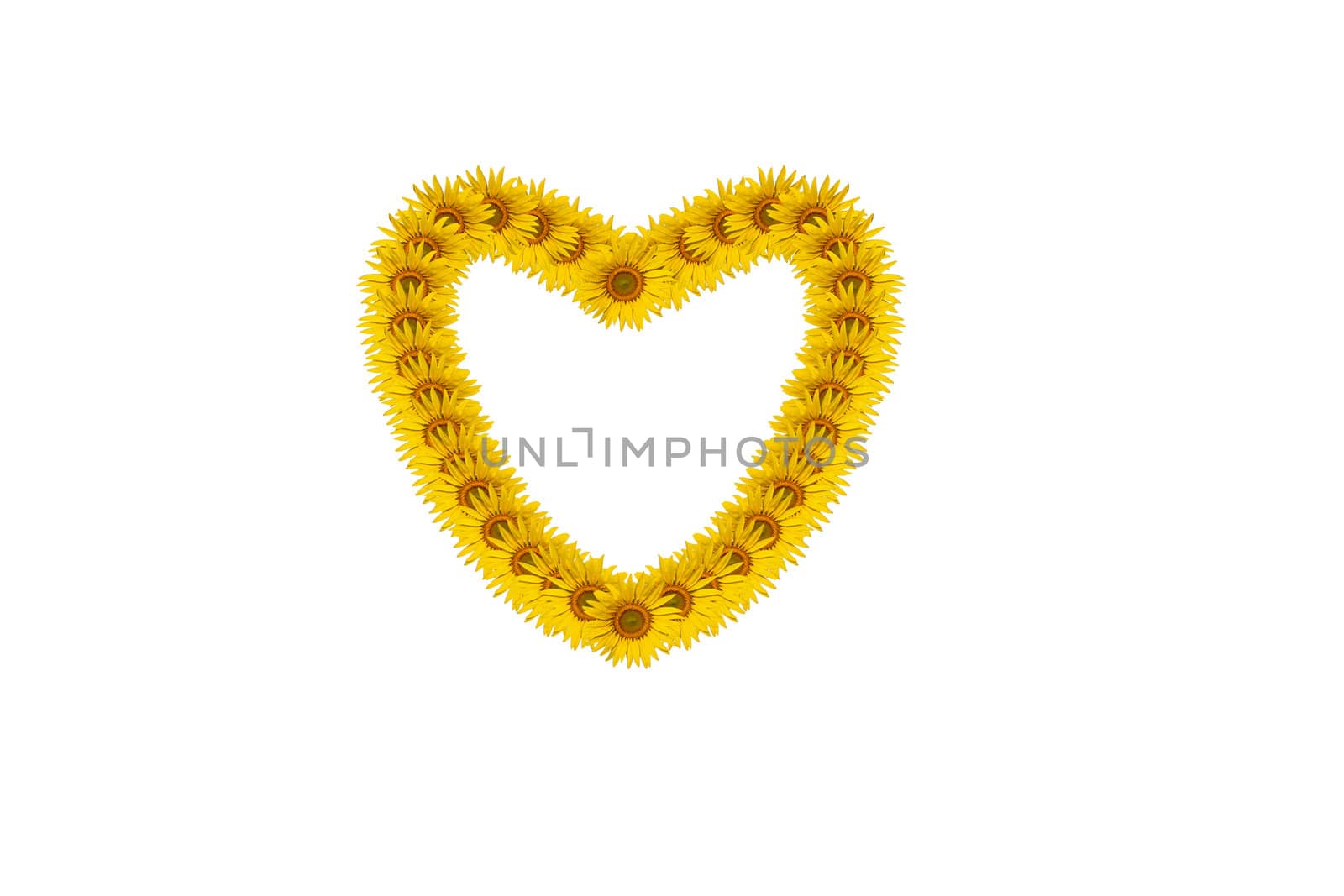 Sunflower petals in heart symbol isolated on white