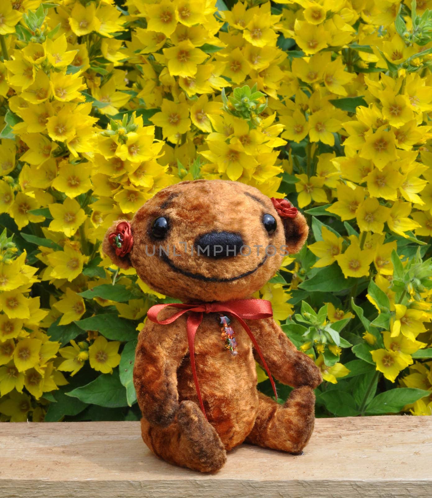 Handmade, the sewed plush toy: Teddy-bear Niusia weirdo on a board among flowers