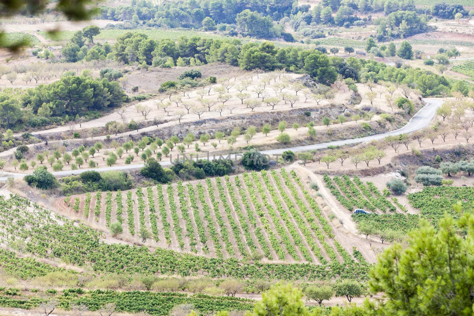 landscape at Coll del Moro, Catalonia, Spain